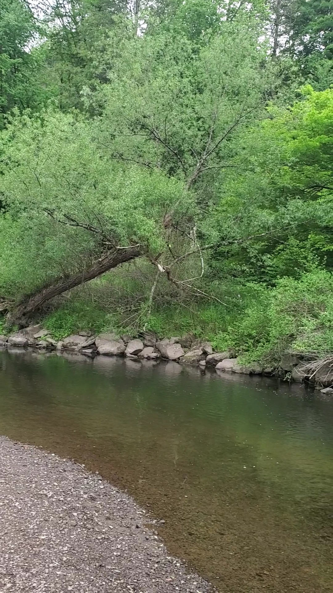 Apple Grove Park - Honesdale, PA