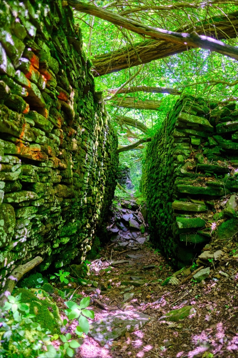 Tanner Falls - Honesdale, PA