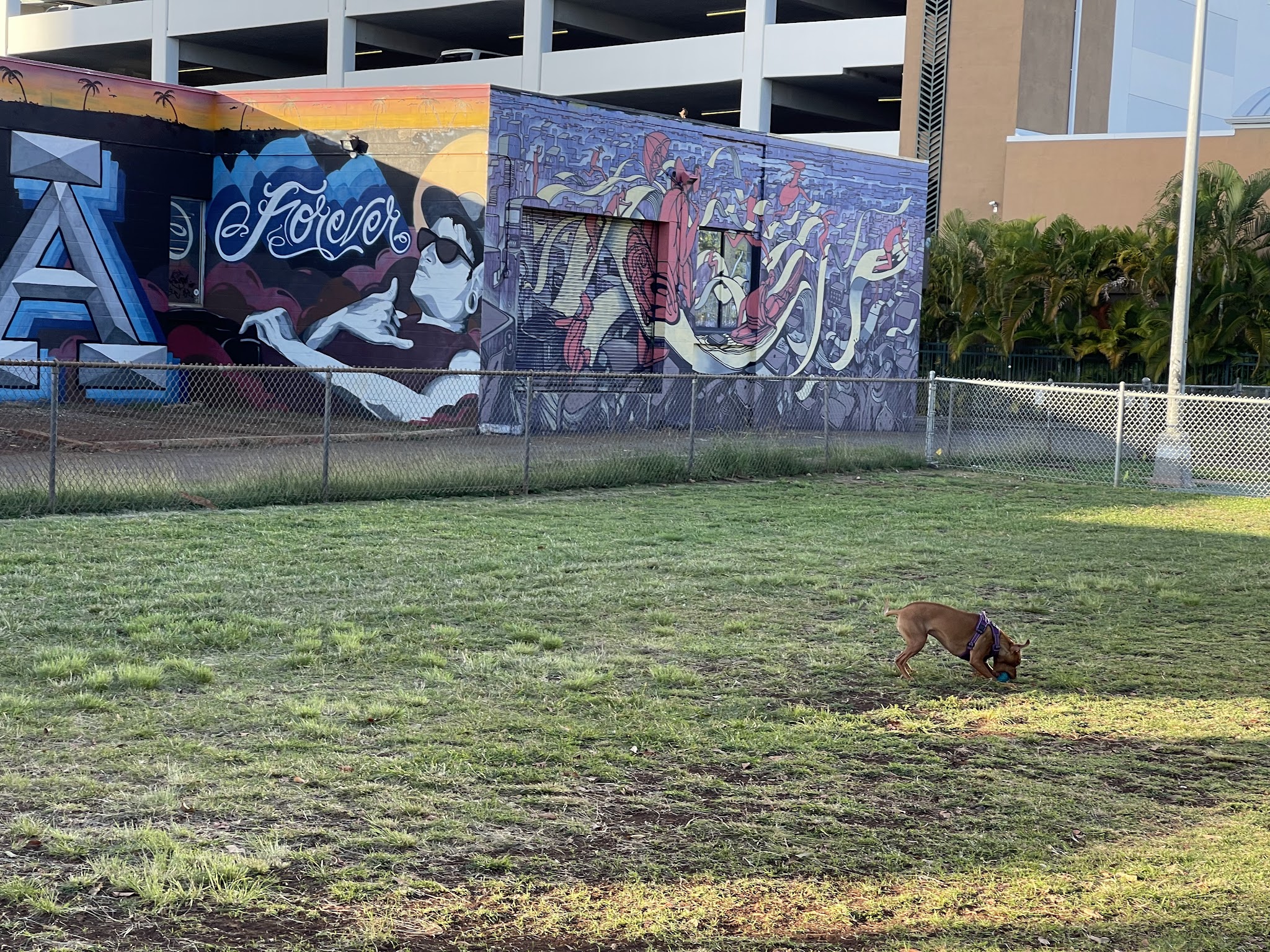 A'ala Bark Park - Honolulu, HI
