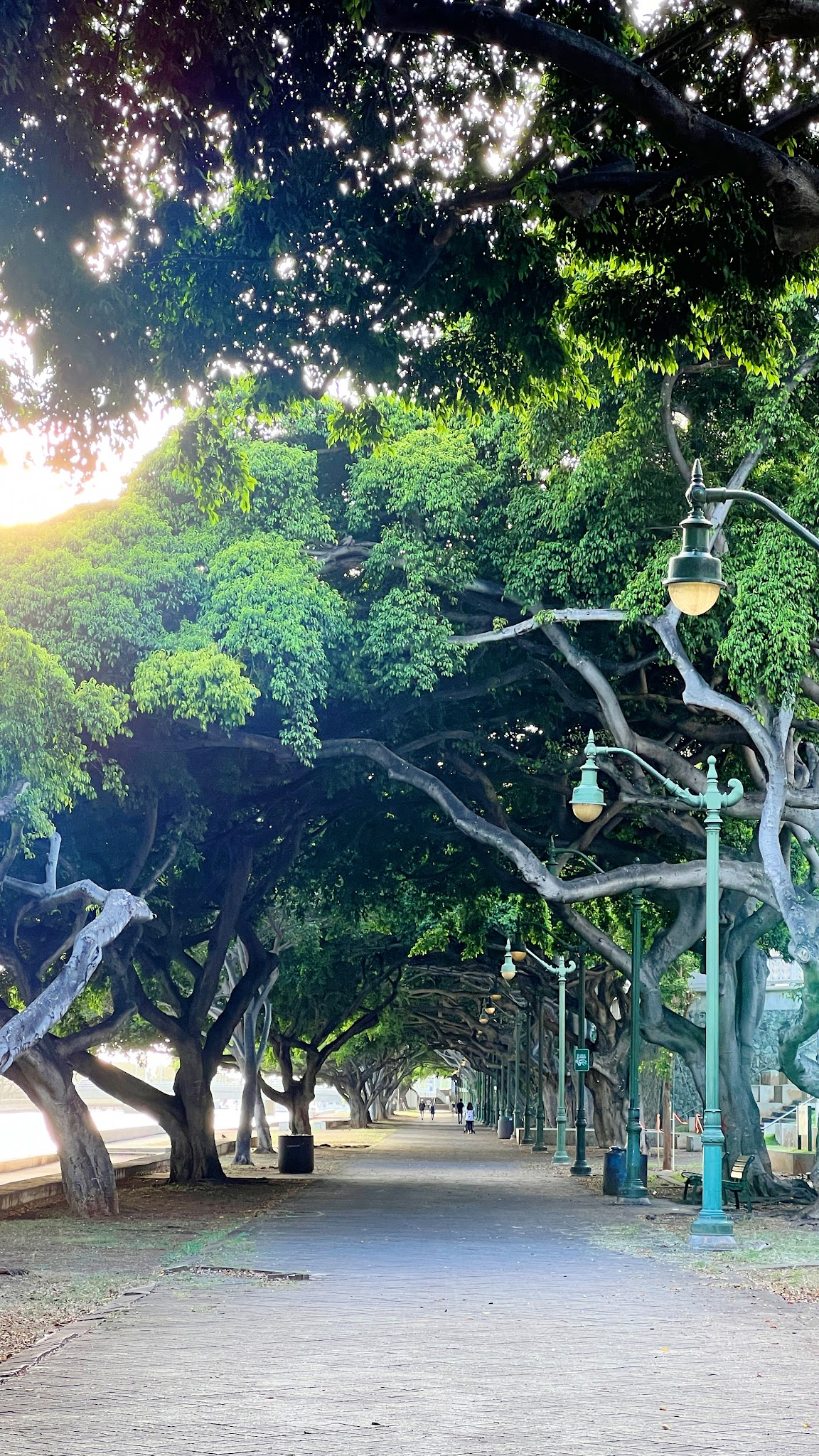 Ala Wai Promenade - Honolulu, HI
