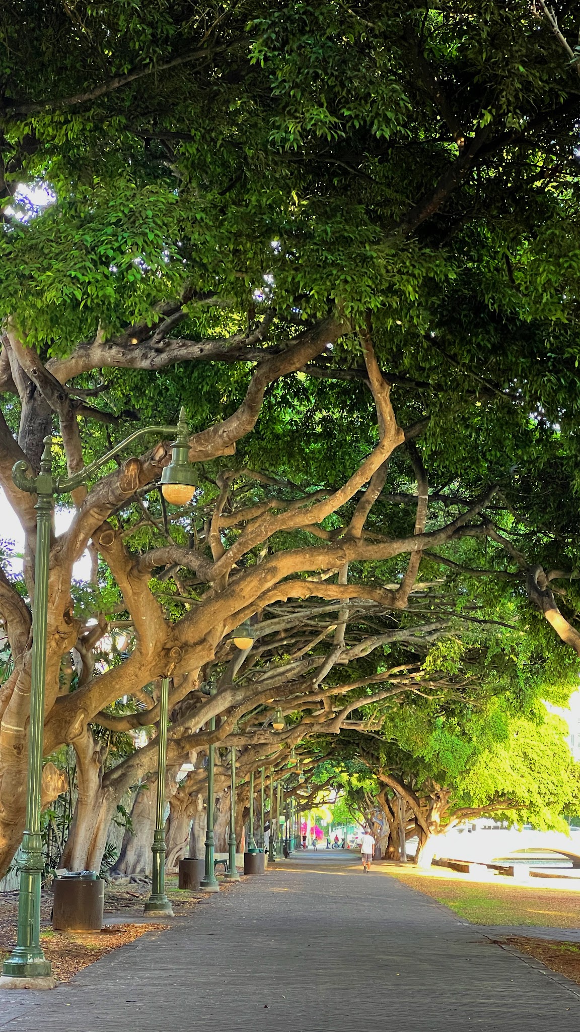 Ala Wai Promenade - Honolulu, HI