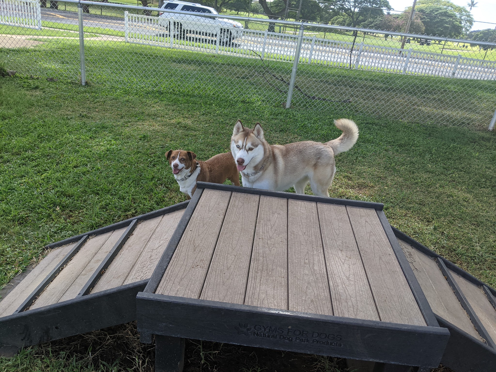 Forest City Dog Park - Honolulu, HI