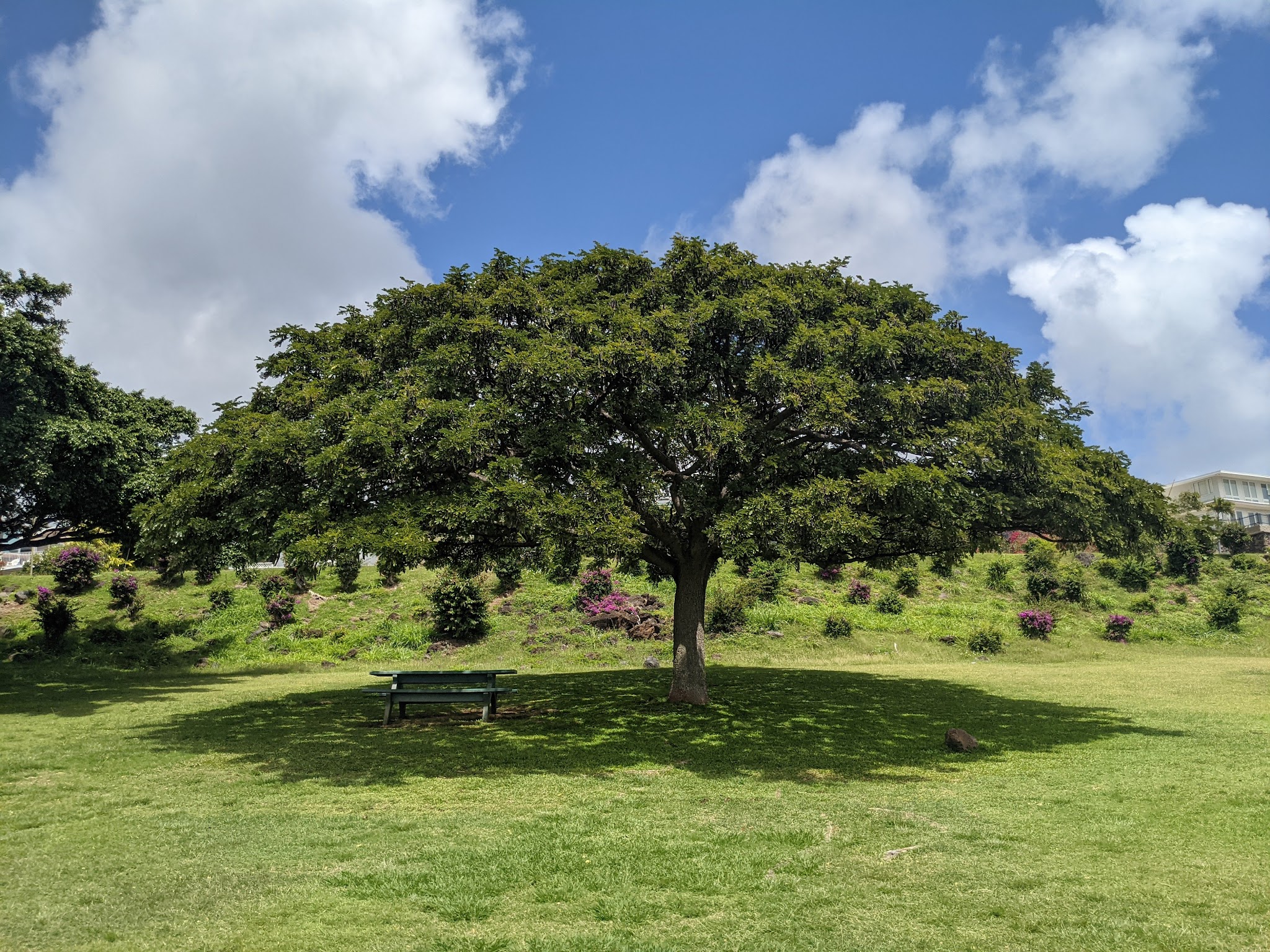 Kāmole Mini Park - Honolulu, HI