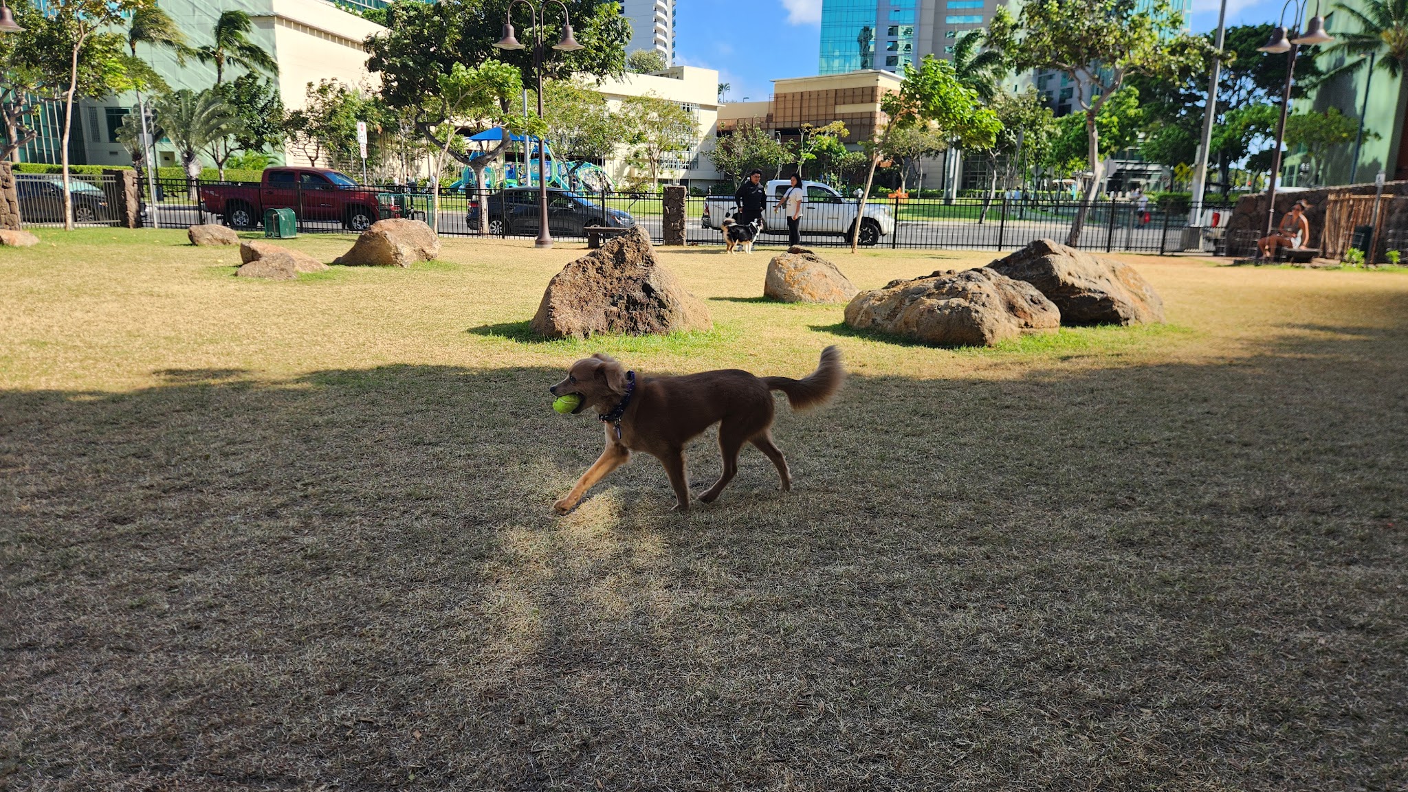 Kolowalu Dog Park - Honolulu, HI