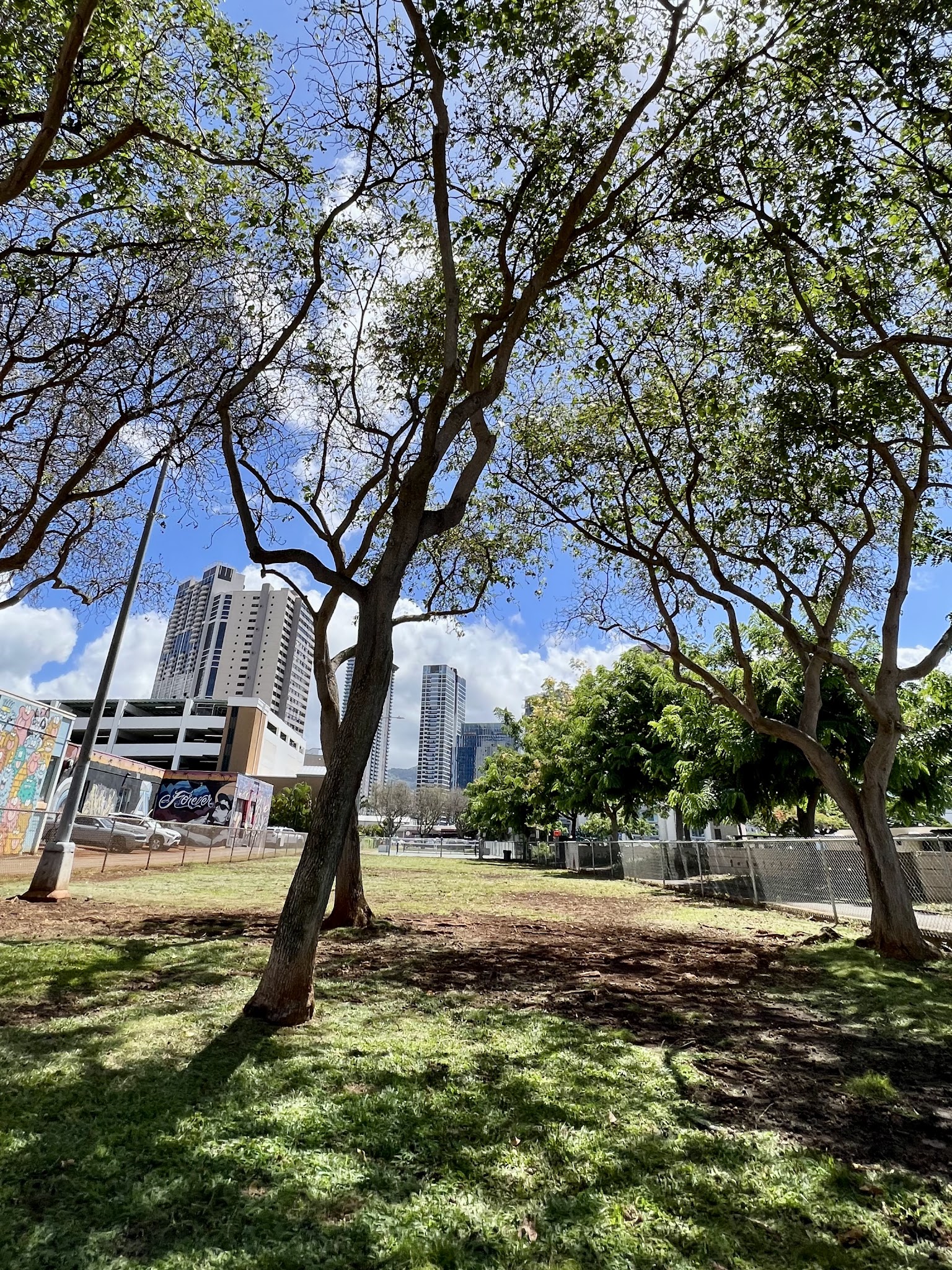 Mother Waldron Neighborhood Dog Park - Honolulu, HI