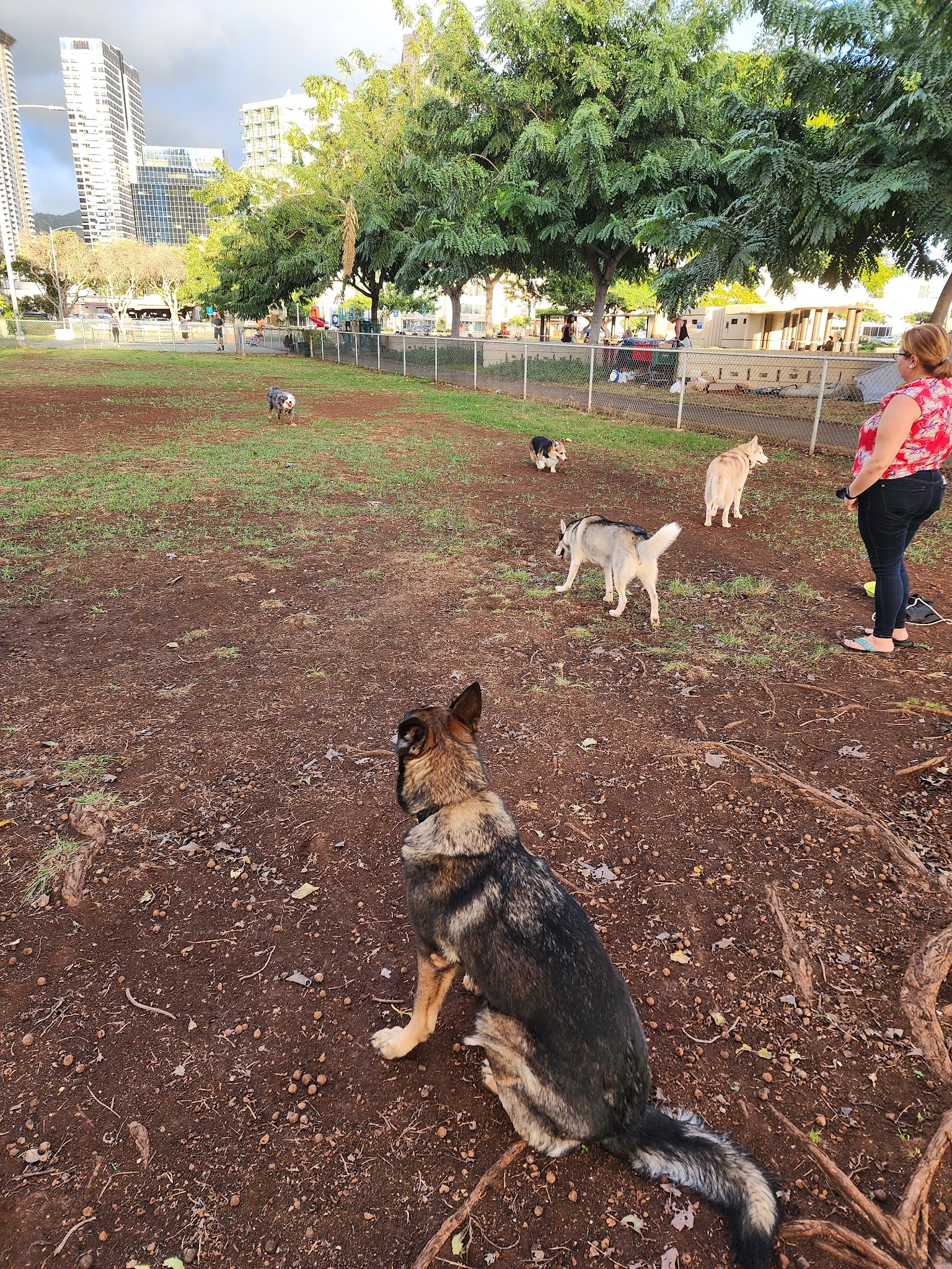 Mother Waldron Neighborhood Dog Park - Honolulu, HI