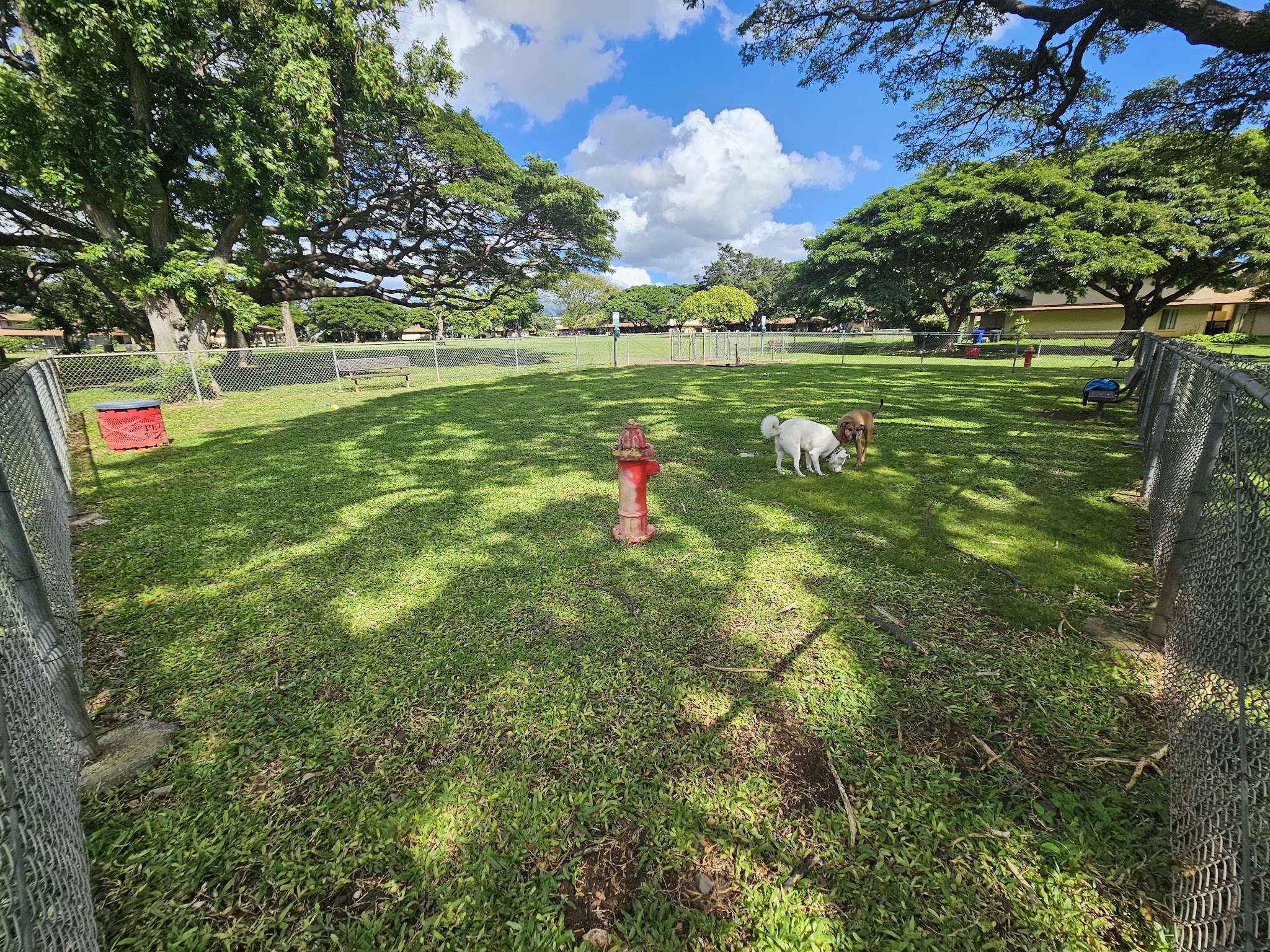 ONC dog park - Honolulu, HI