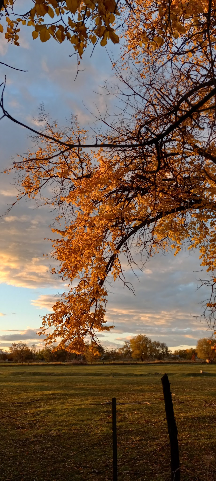 Hooper Landings Park - Hooper, UT