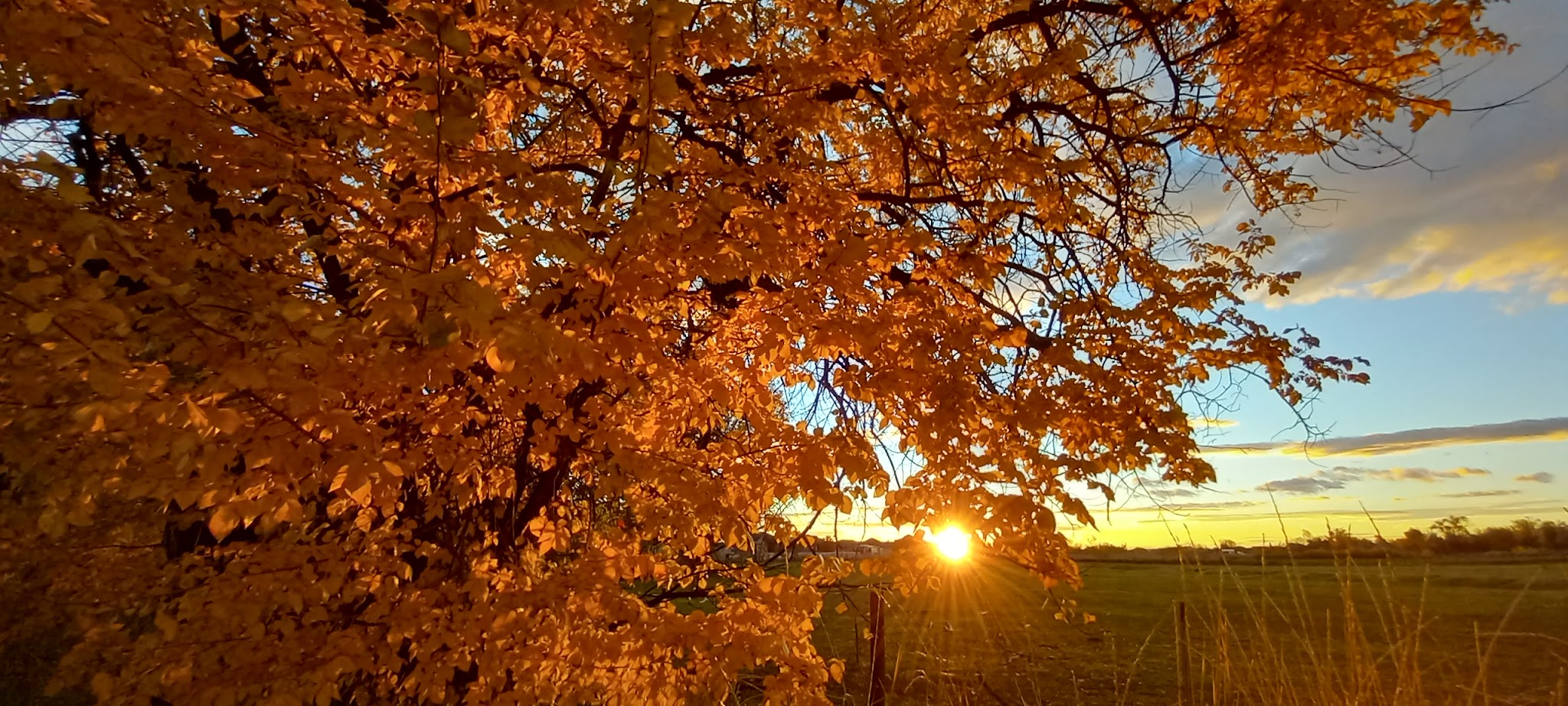 Hooper Landings Park - Hooper, UT