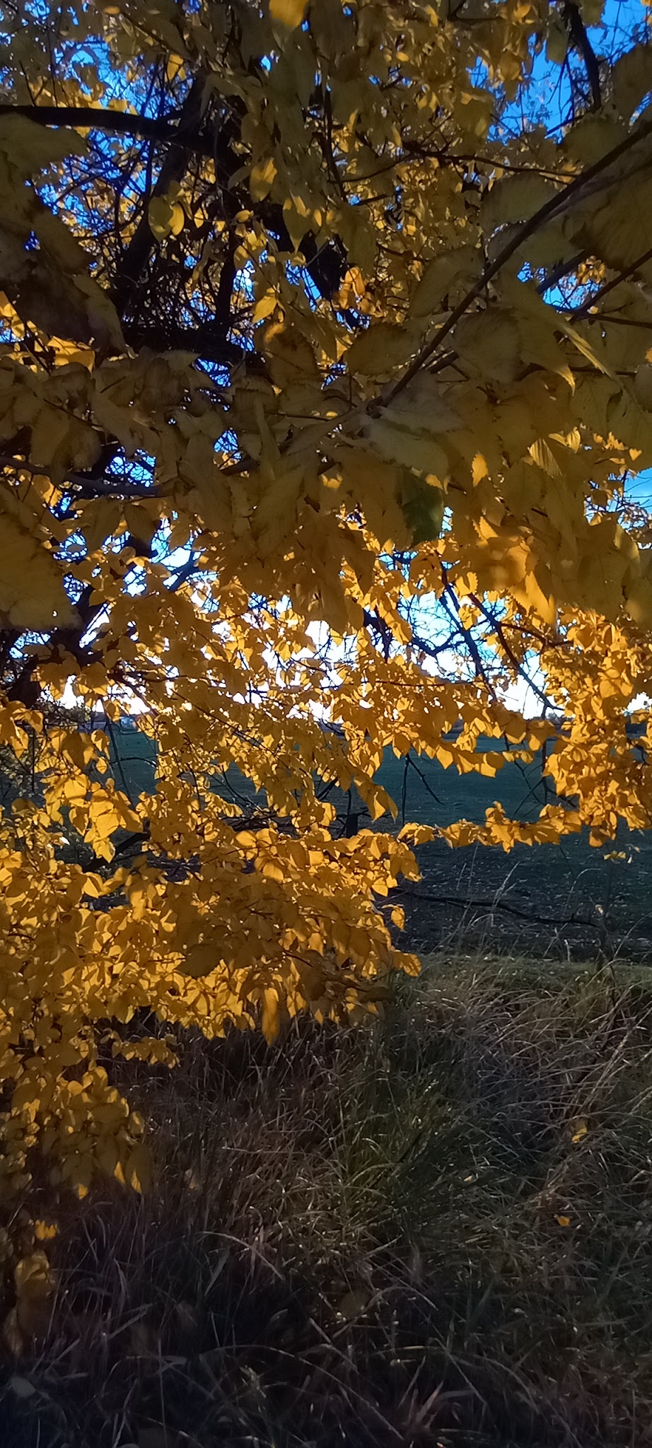 Hooper Landings Park - Hooper, UT