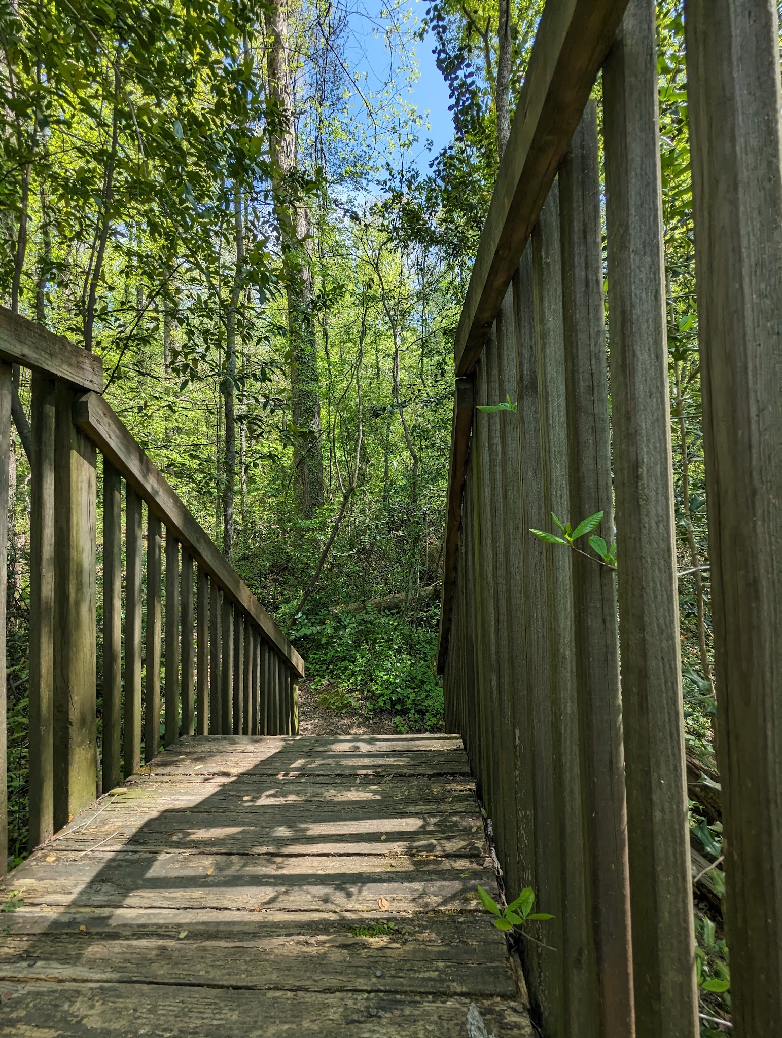 Blue Ridge Nature Trail - Hoover, AL