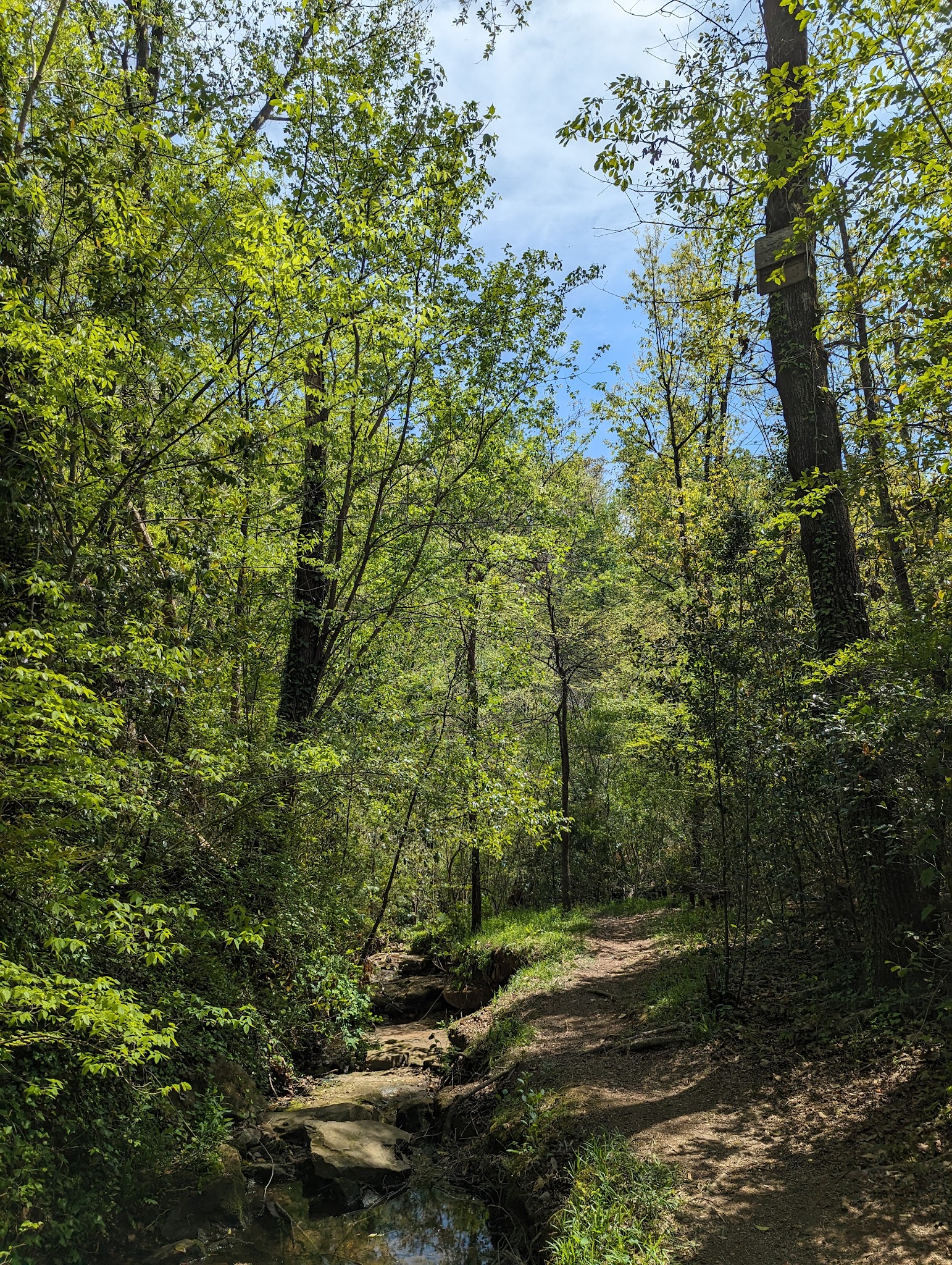Blue Ridge Nature Trail - Hoover, AL