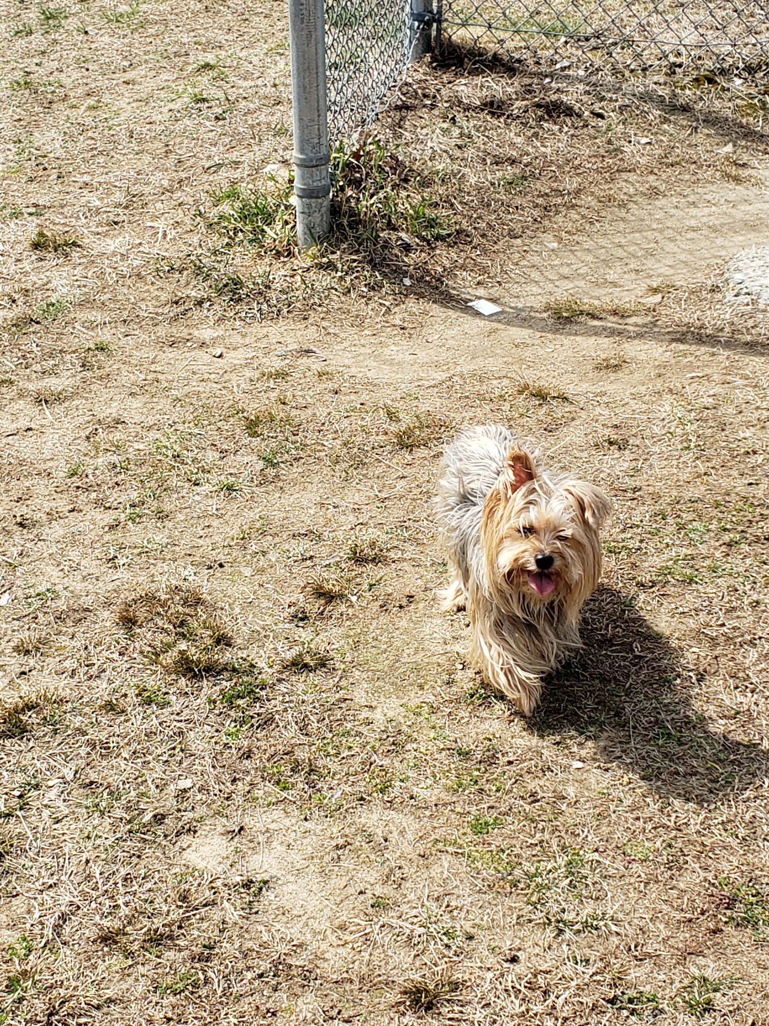 Hope Park - Hope, RI