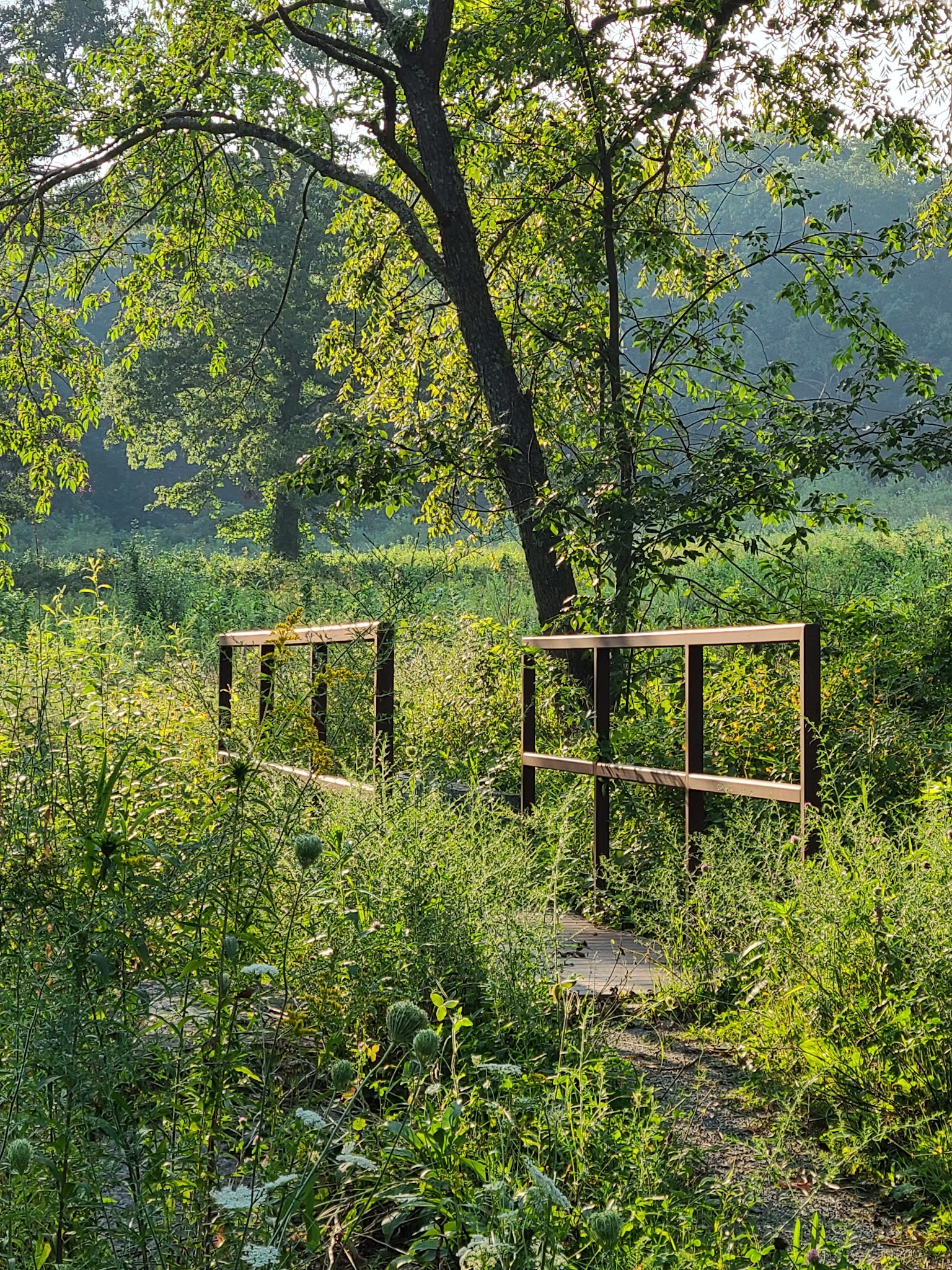 Lawton Farm - Hope, RI