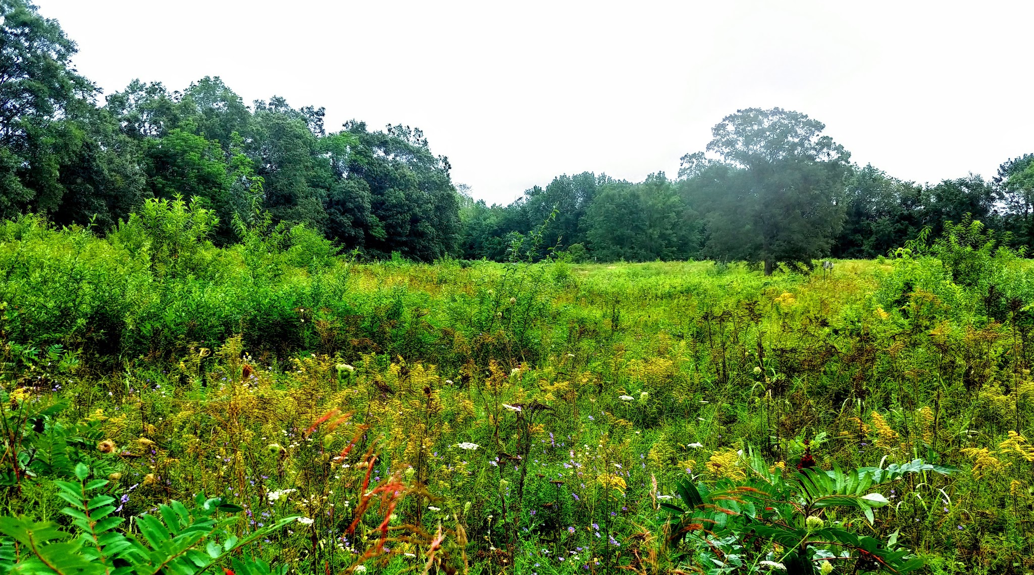 Lawton Farm - Hope, RI