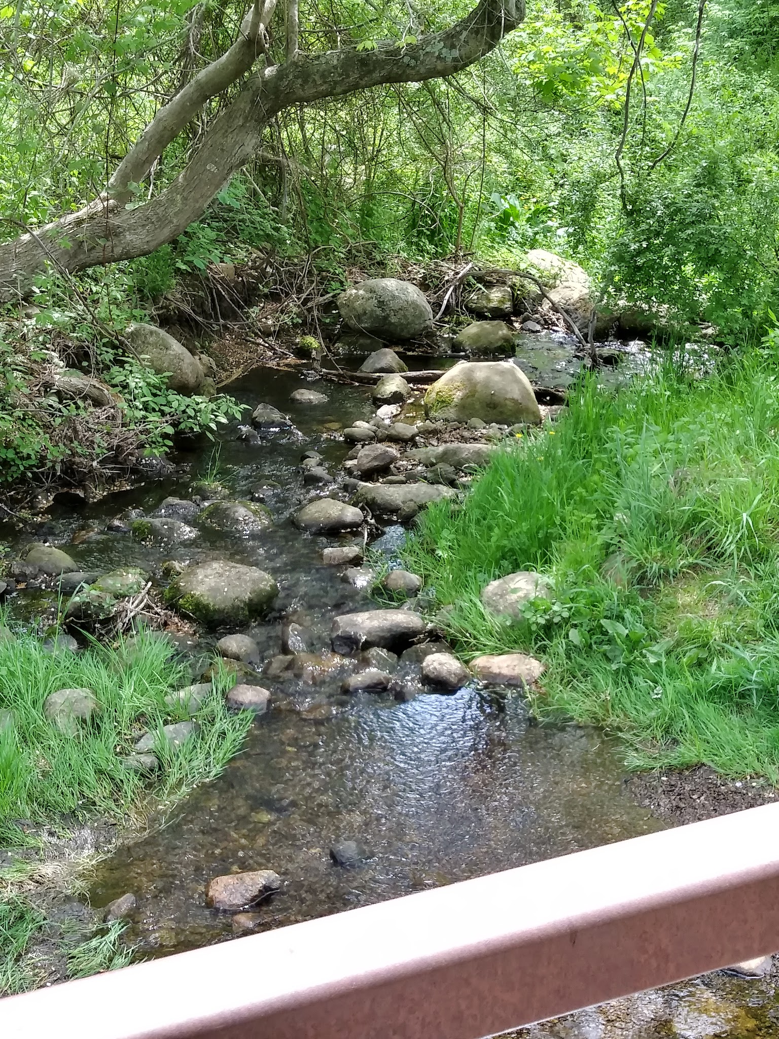 Lawton Farm - Hope, RI