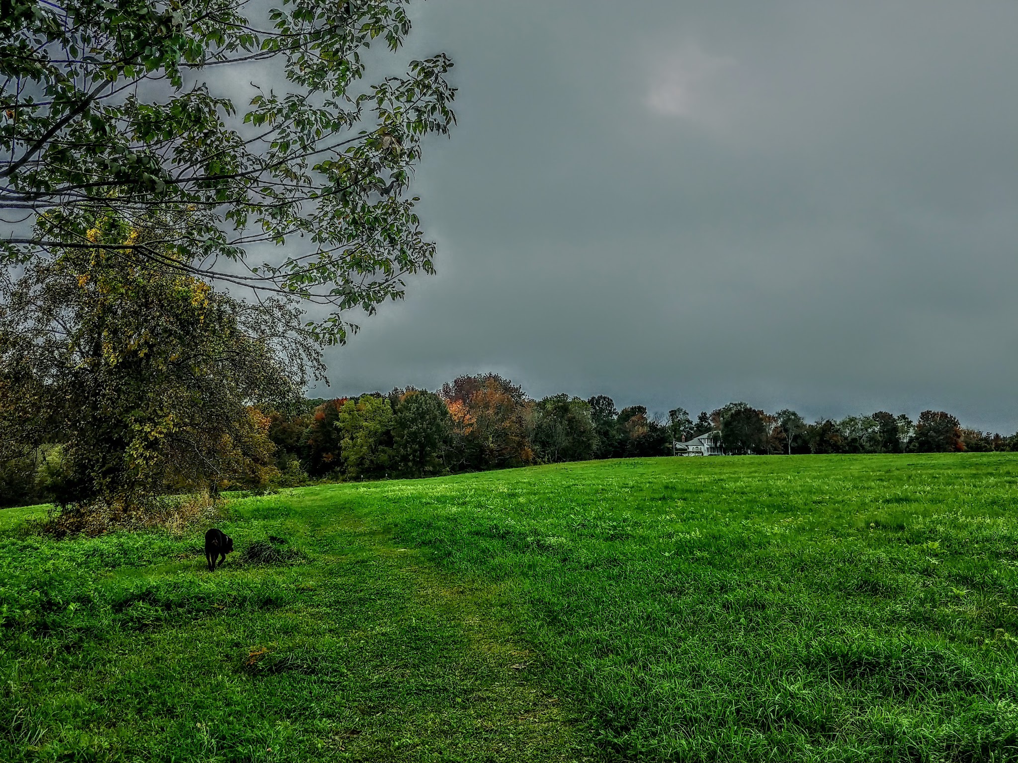 Lawton Farm - Hope, RI
