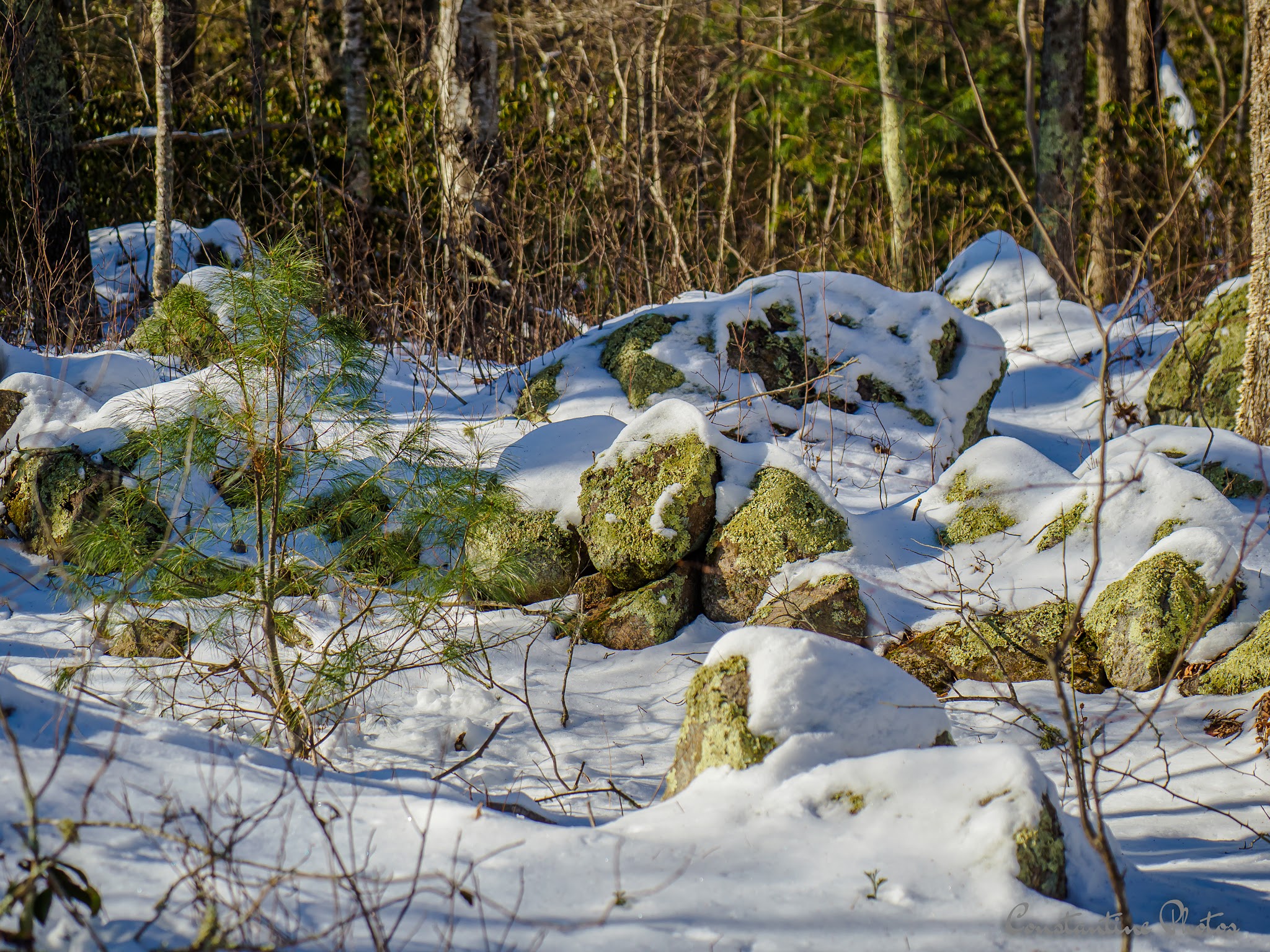 Rockville Mgmt Area Trailhead - Hope Valley, RI