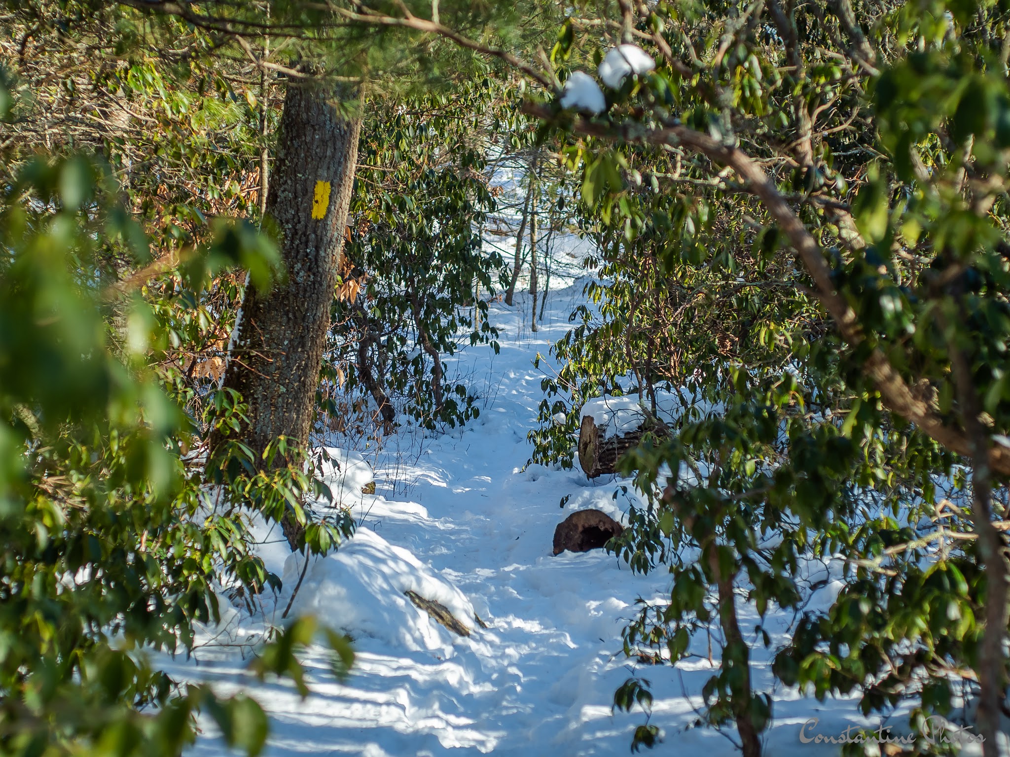 Rockville Mgmt Area Trailhead - Hope Valley, RI