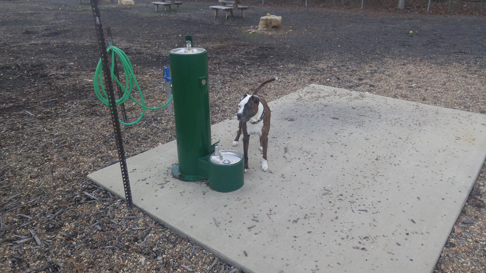 Desoto Dog Park Hot Springs Village - Hot Springs, AR