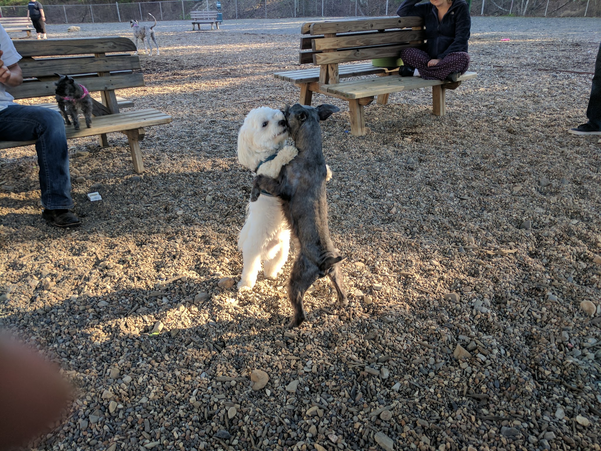 Desoto Dog Park Hot Springs Village - Hot Springs, AR