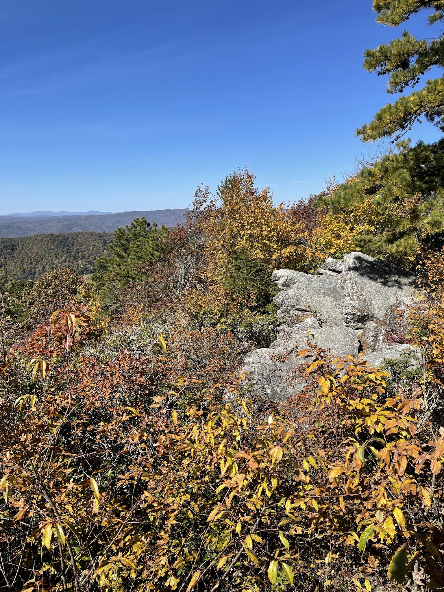 Flag Rock Trail - Hot Springs, VA
