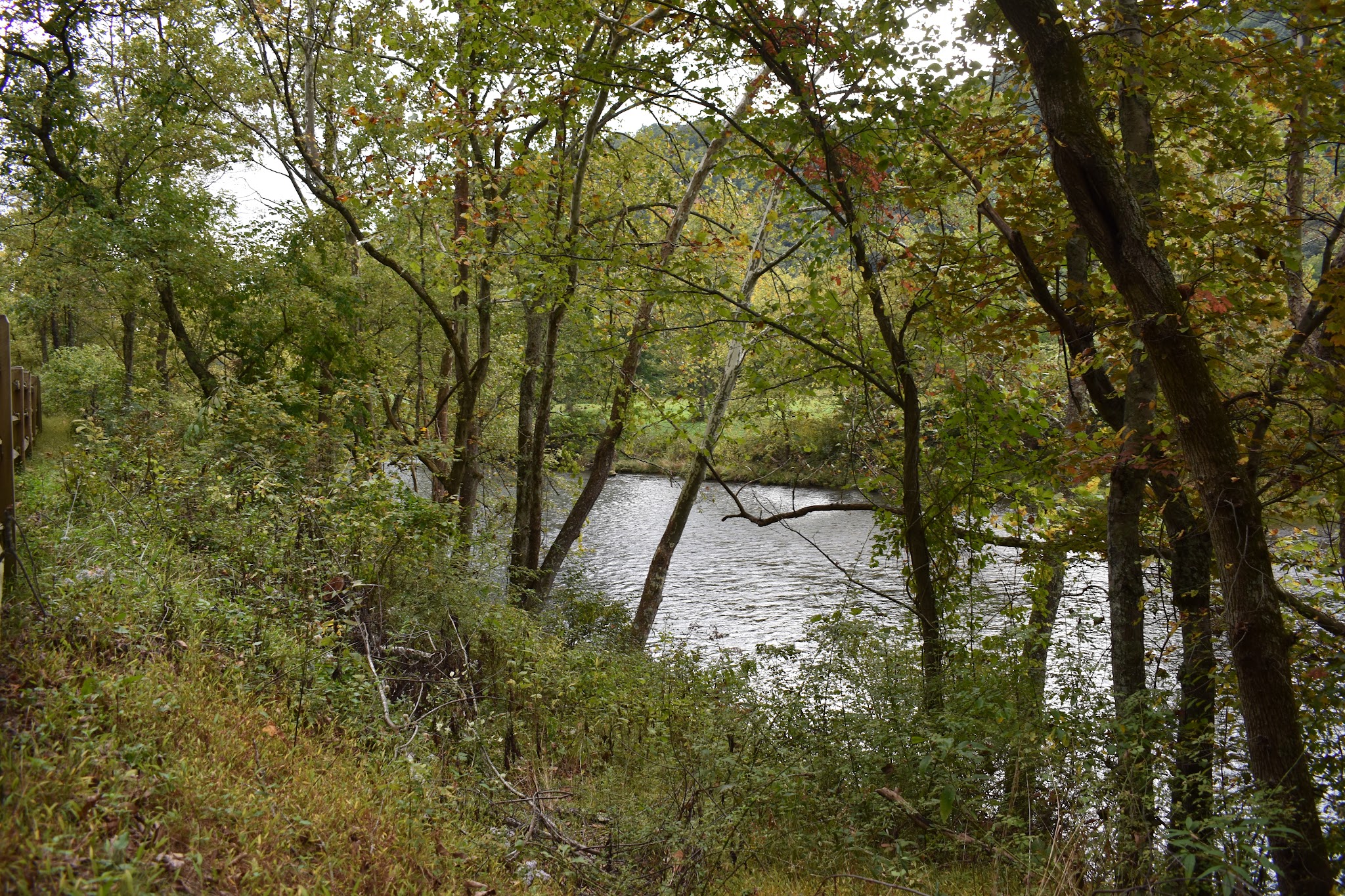 Jackson River Scenic Trail - Natural Well Trailhead - Hot Springs, VA