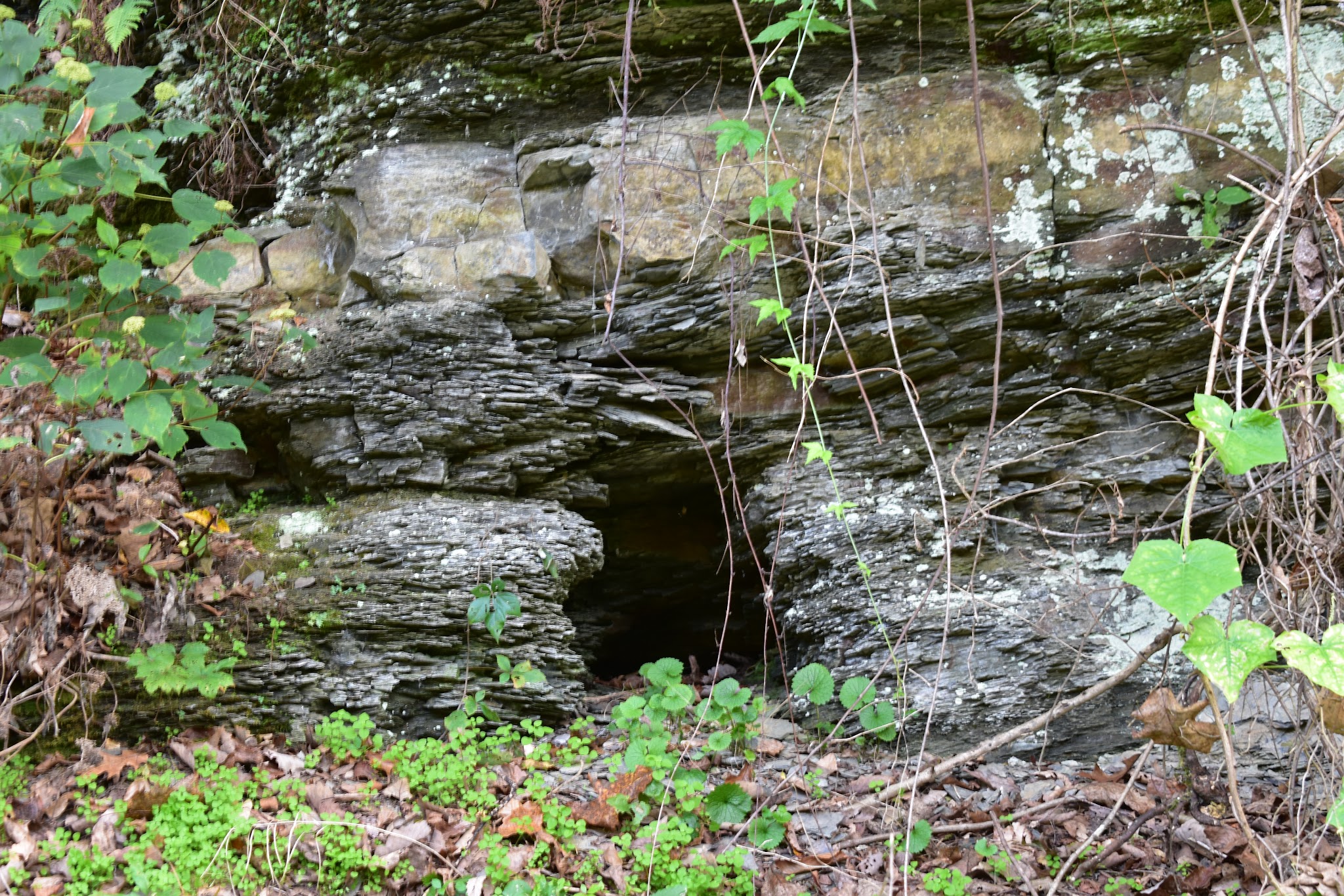 Jackson River Scenic Trail - Natural Well Trailhead - Hot Springs, VA