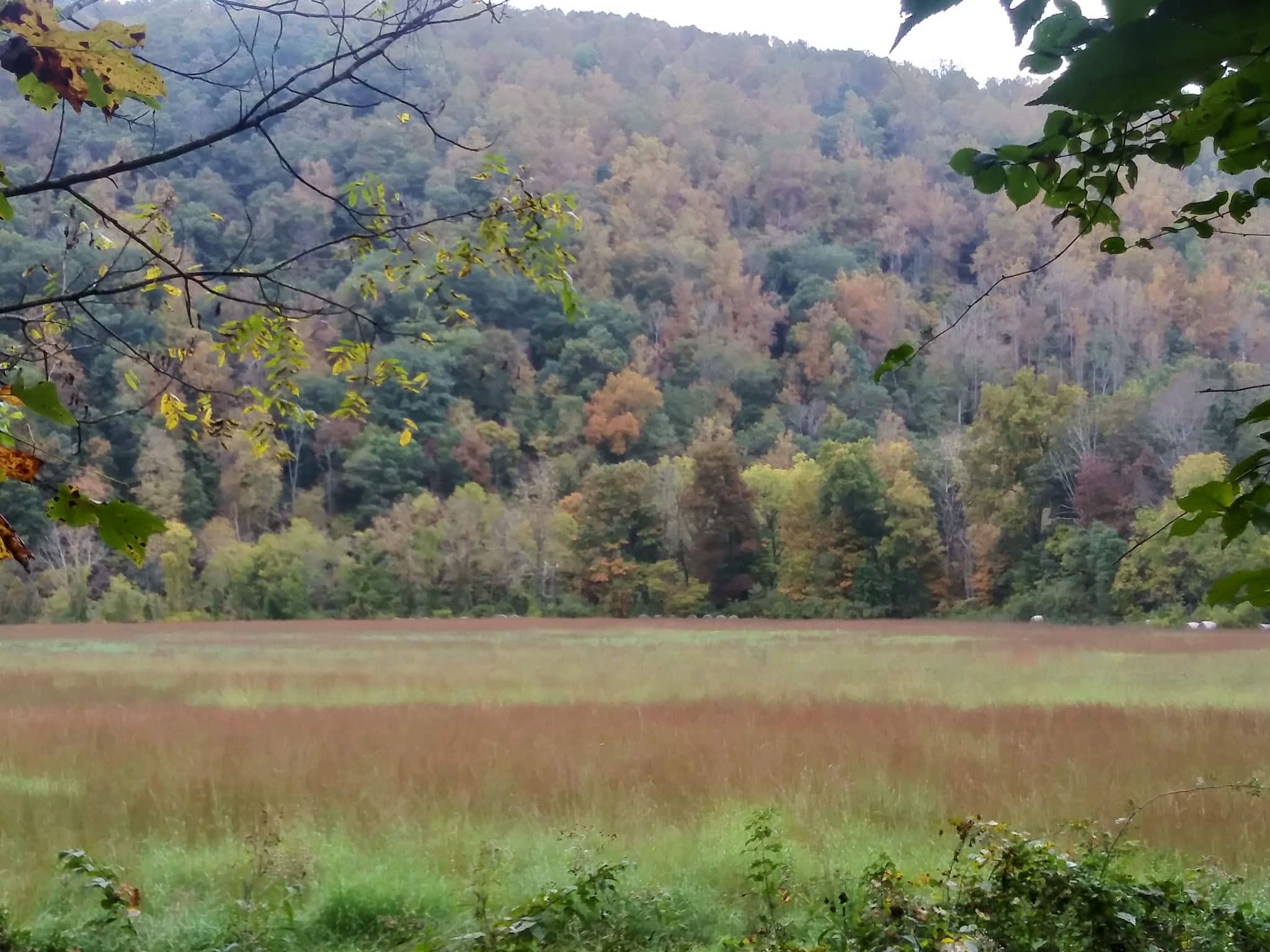 Jackson River Scenic Trail - Natural Well Trailhead - Hot Springs, VA
