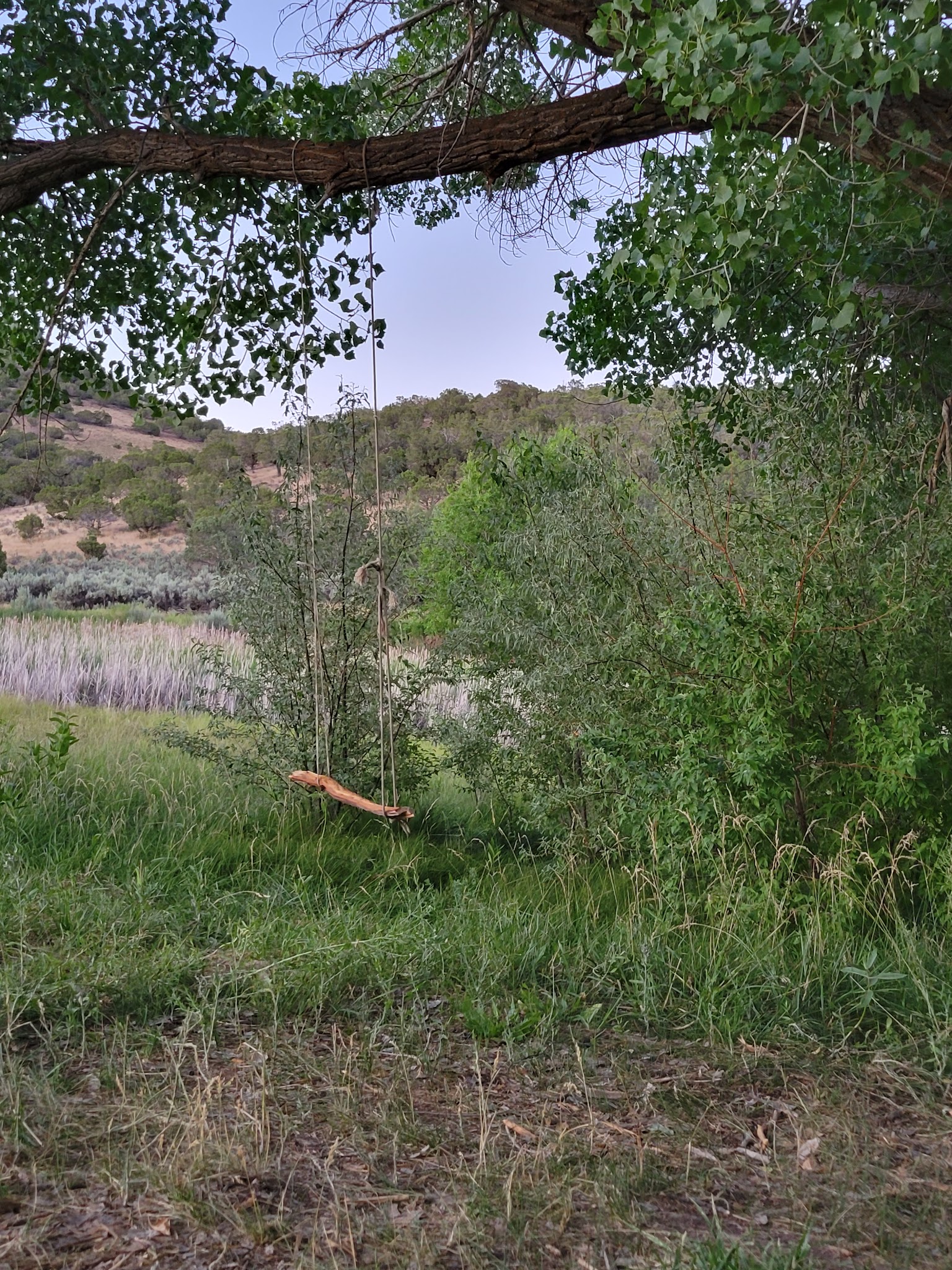 Wolf Ranch Park Trailhead - Hotchkiss, CO