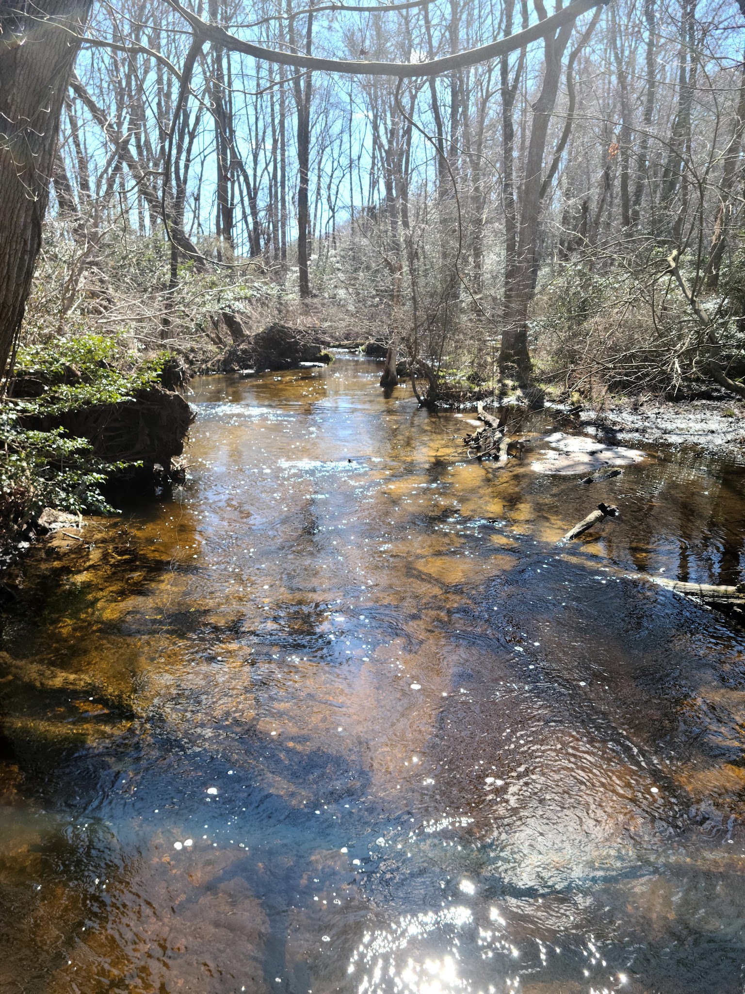 Blairs Pond Public Park - Houston, DE