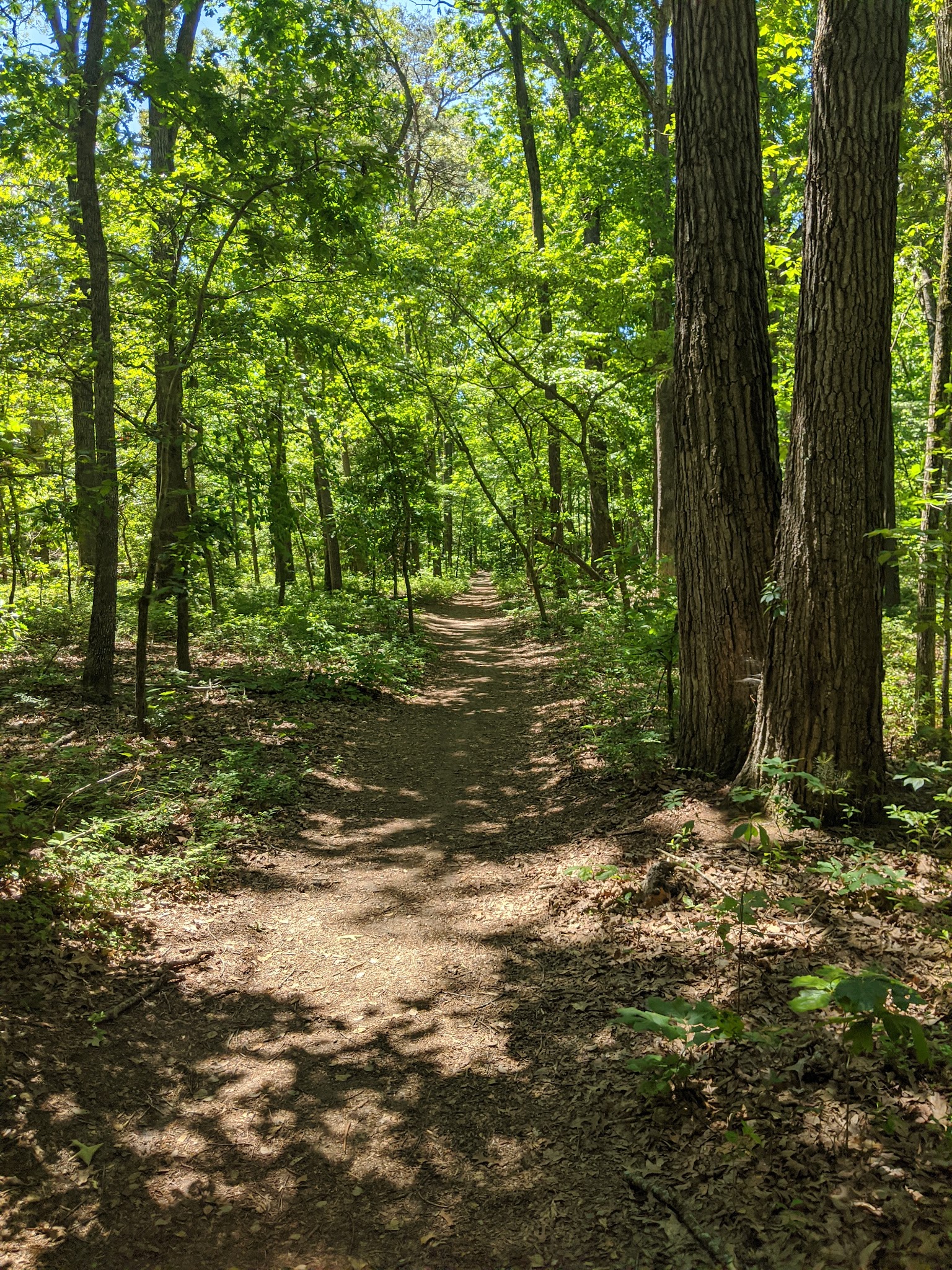 Blairs Pond Public Park - Houston, DE