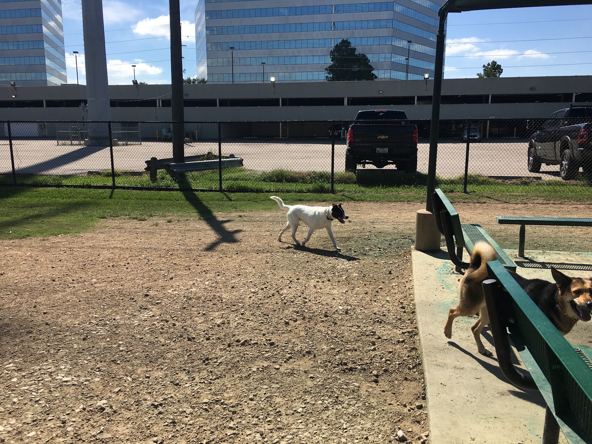 Dog park - Houston, TX