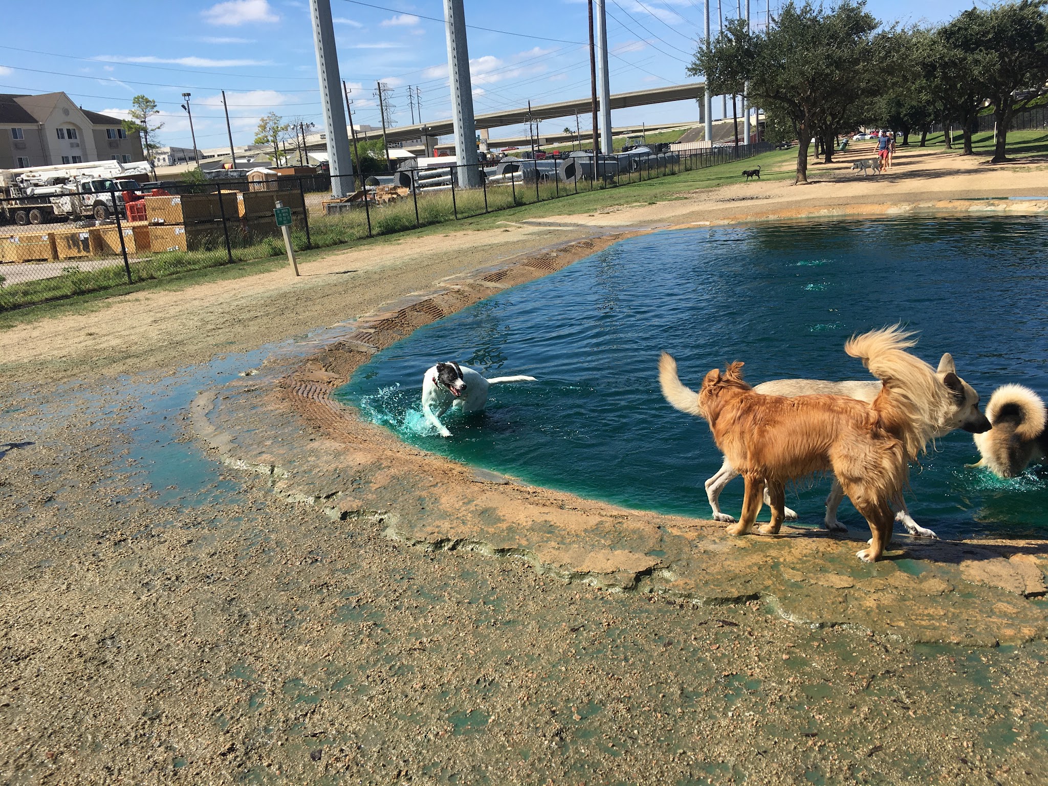 Dog park - Houston, TX
