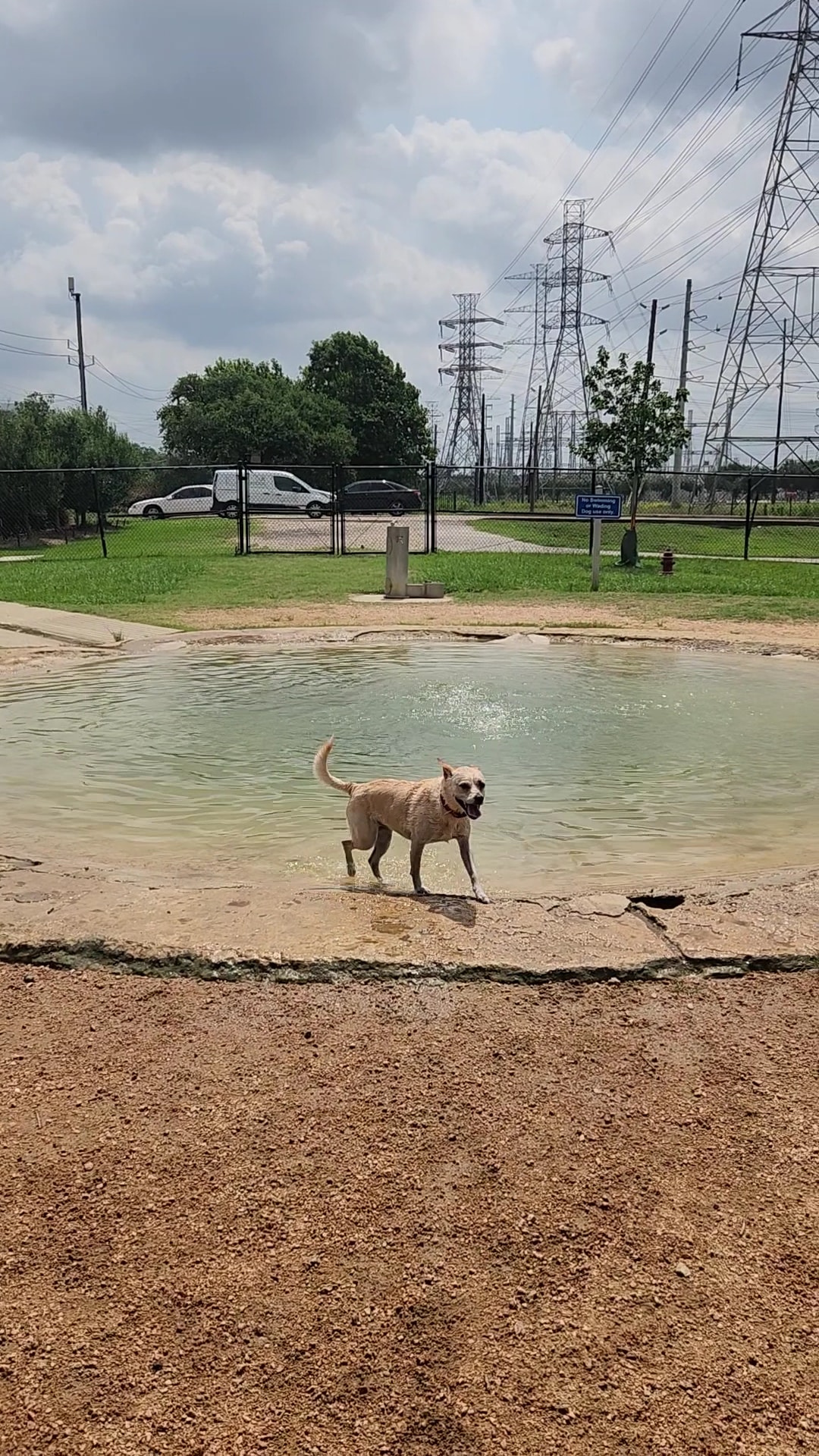 Dog park - Houston, TX
