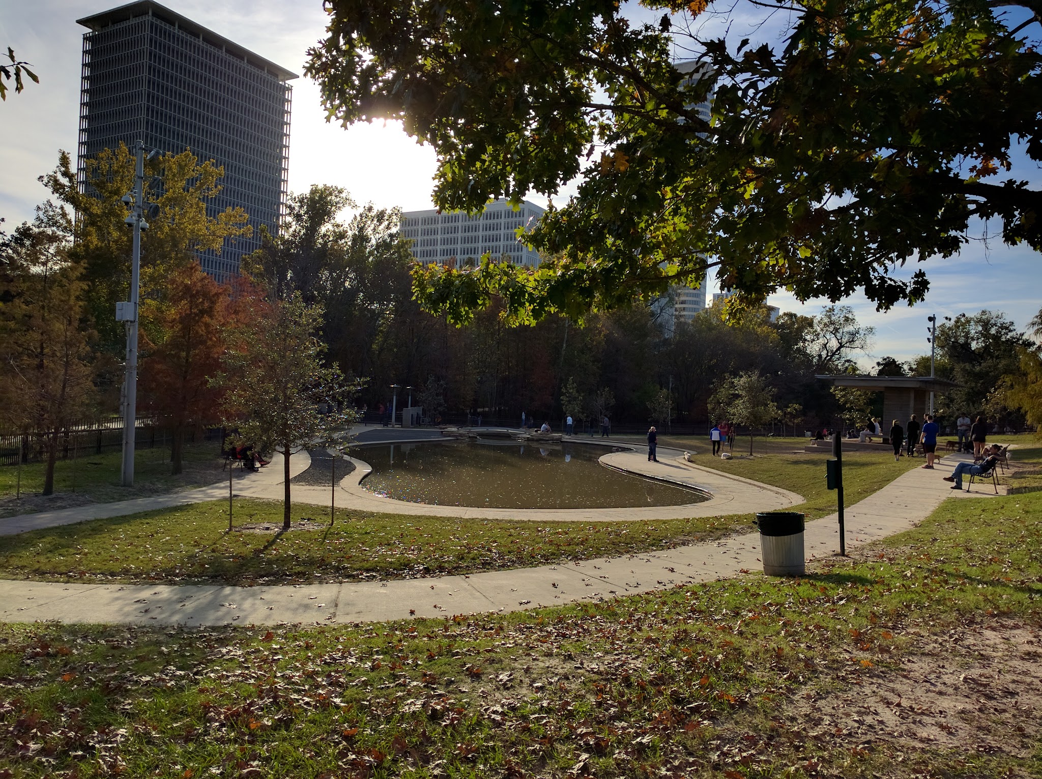 Dog Park - Houston, TX