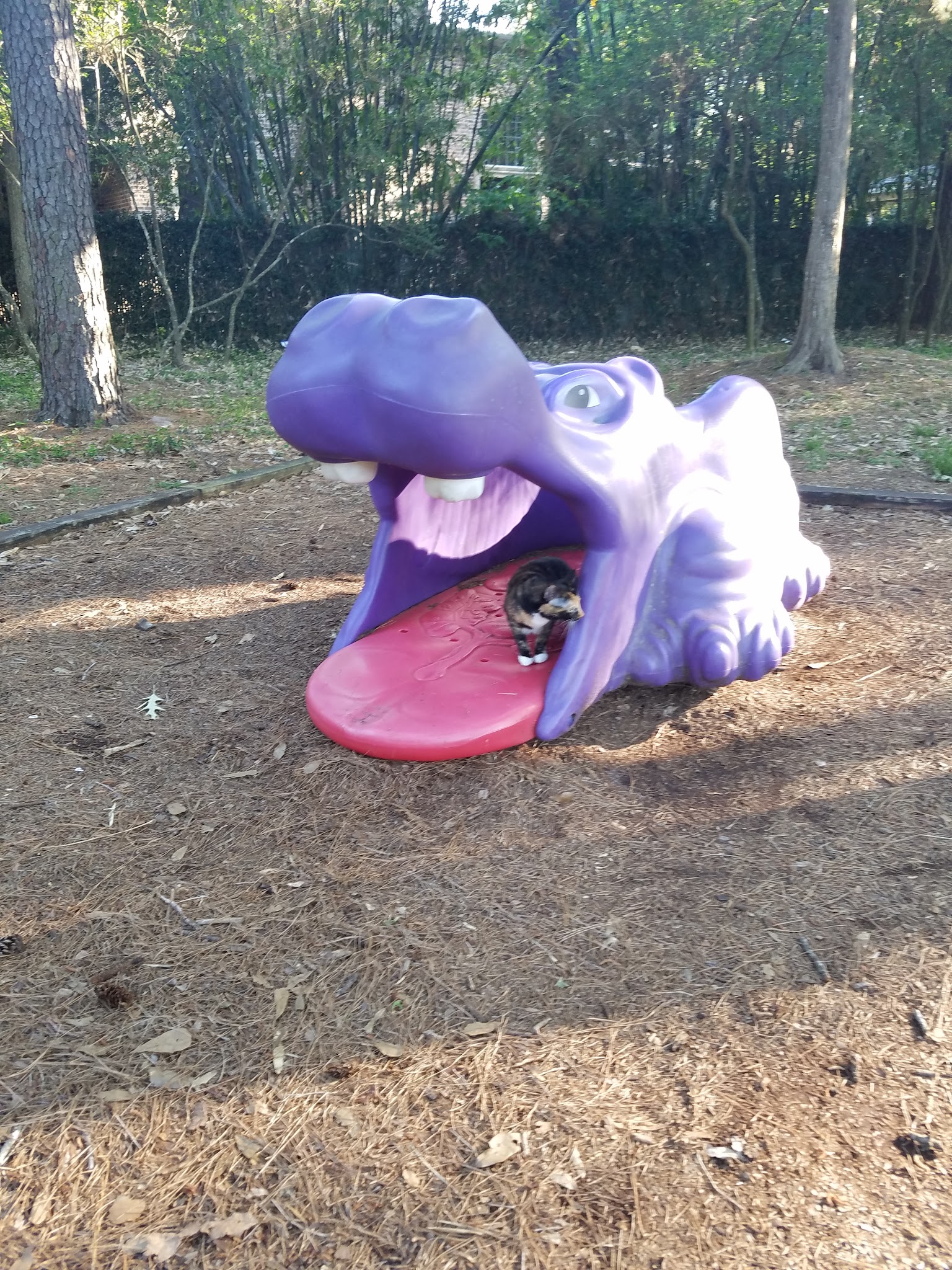 Hedwig Park - Houston, TX
