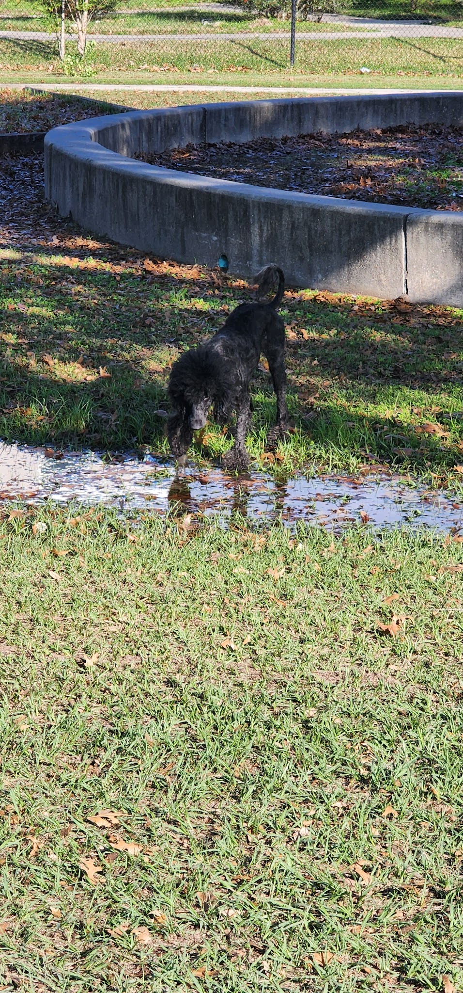 Kerr Park - Houston, TX