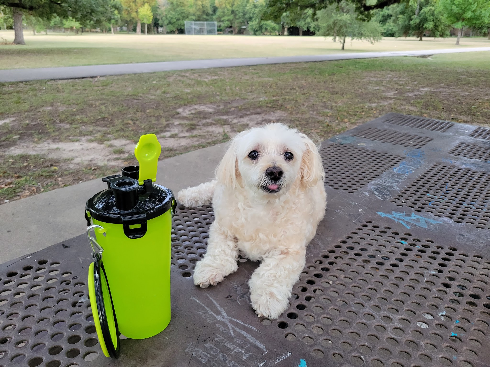 Mangum Manor Park - Houston, TX