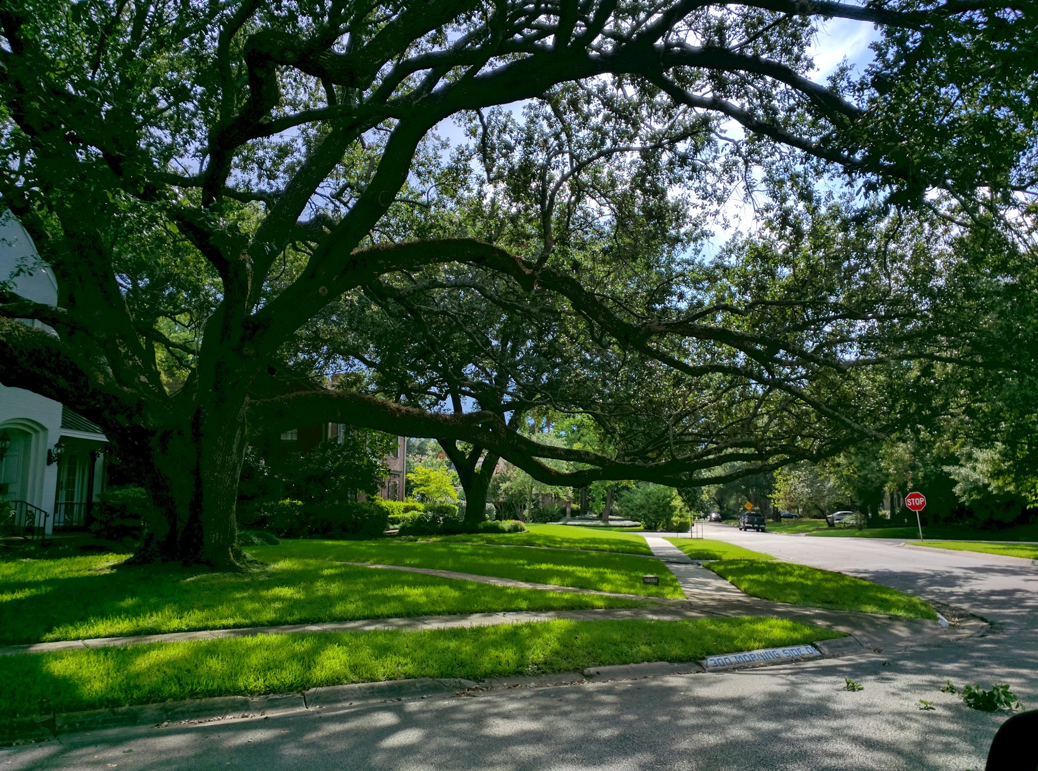 Old Braeswood Park - Houston, TX
