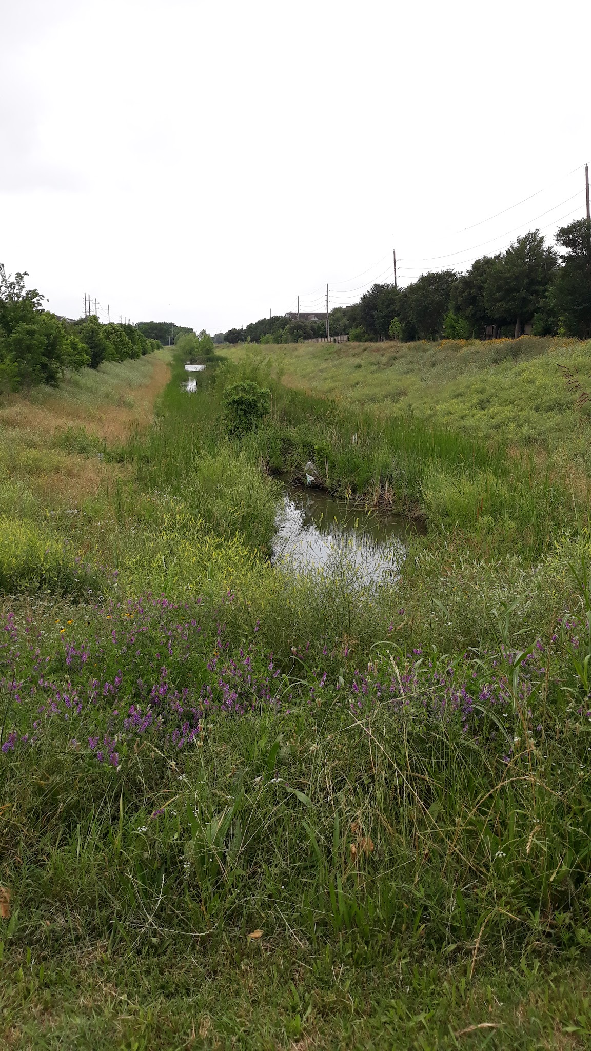 Oxford Pocket Park - Houston, TX