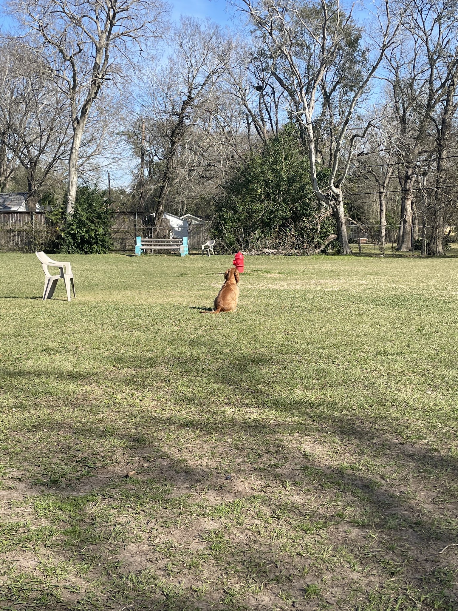 Robindell Dog Run - Houston, TX