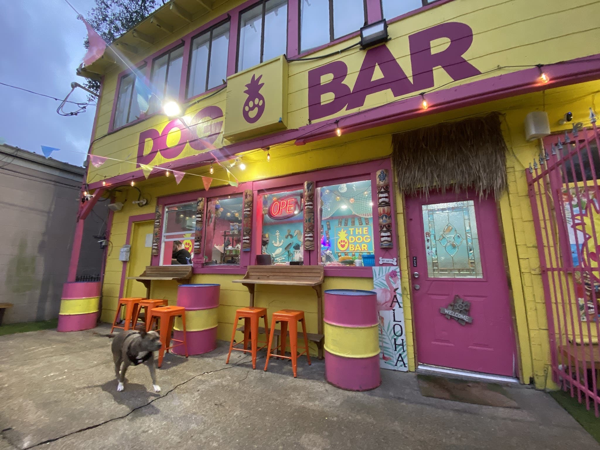 The Dog Bar - Houston, TX