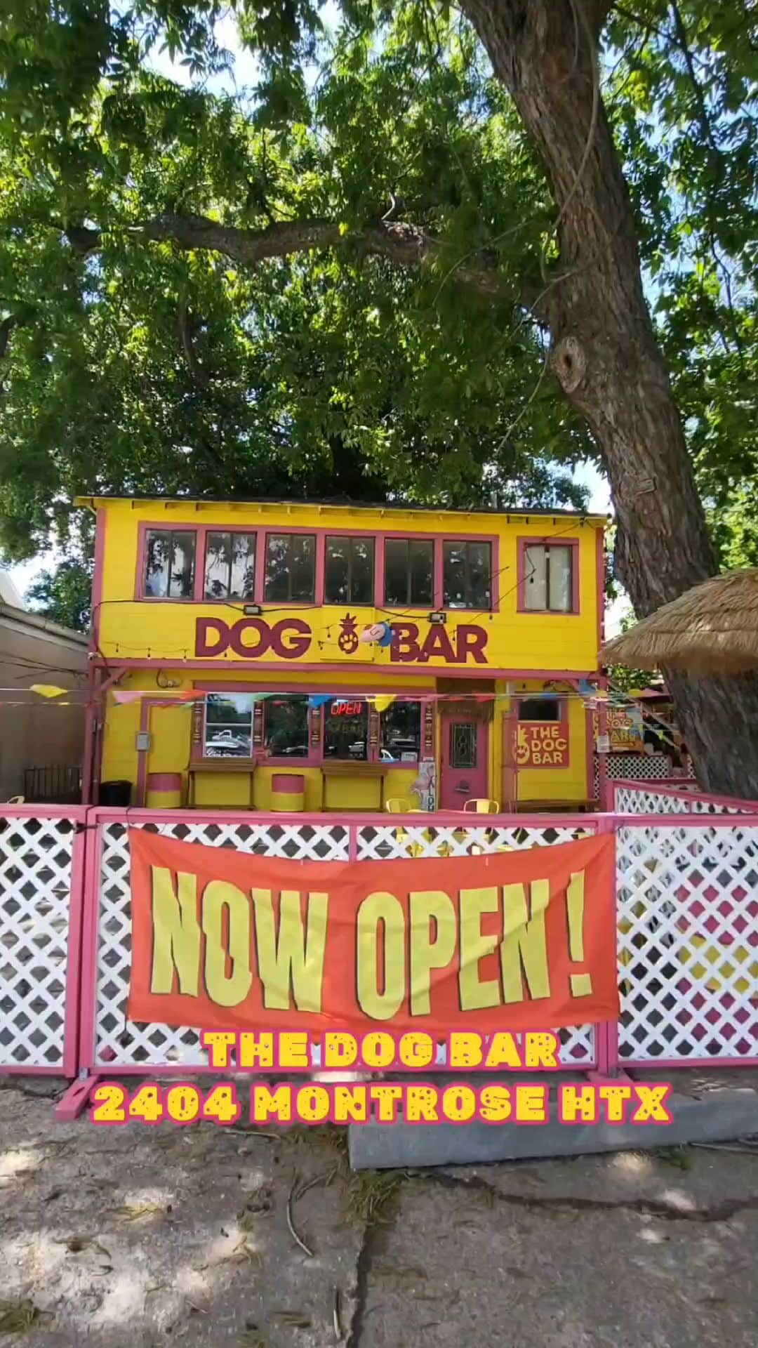 The Dog Bar - Houston, TX