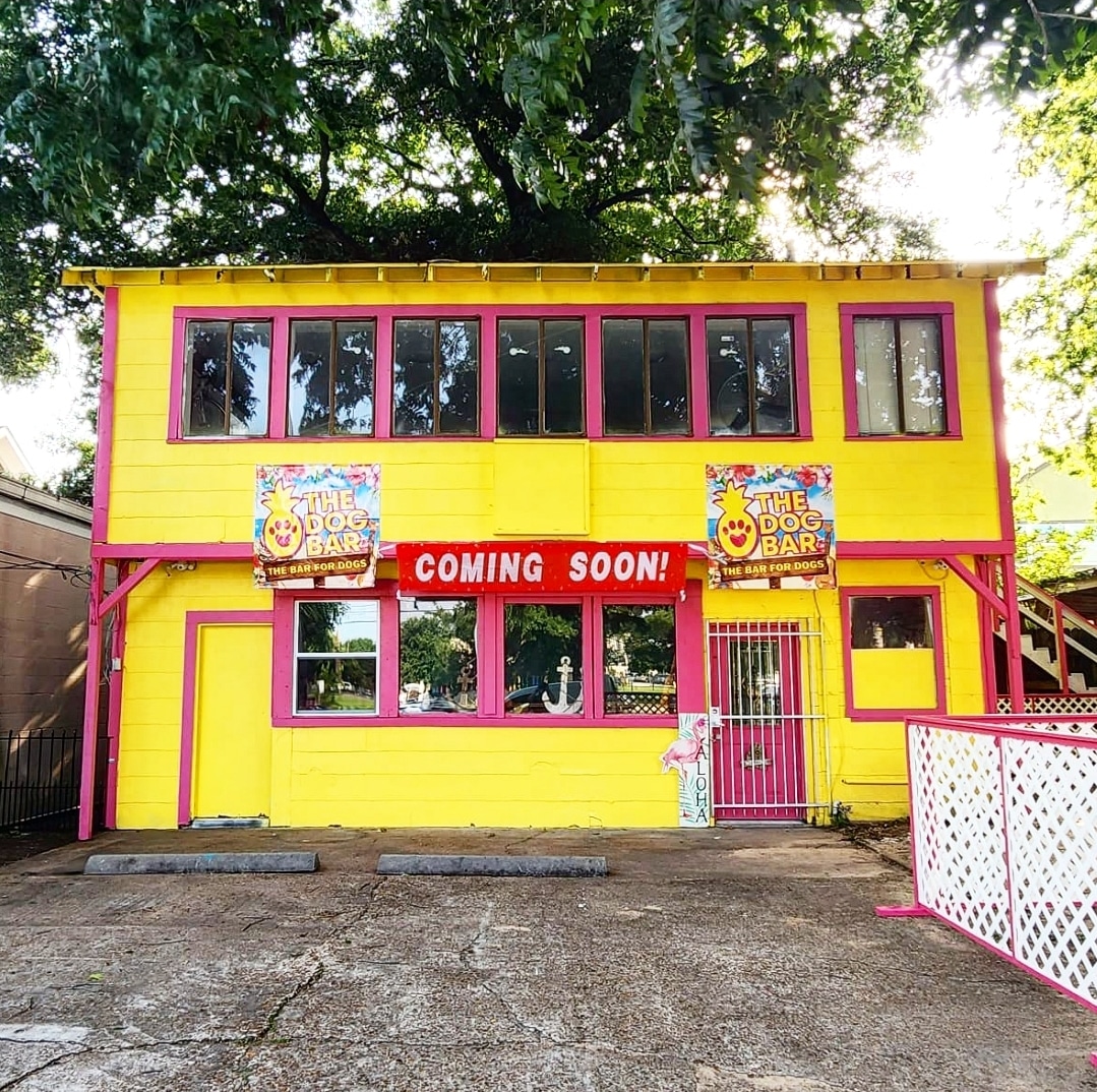 The Dog Bar - Houston, TX