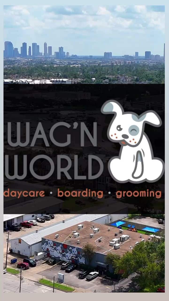 Wag'n World - Houston, TX