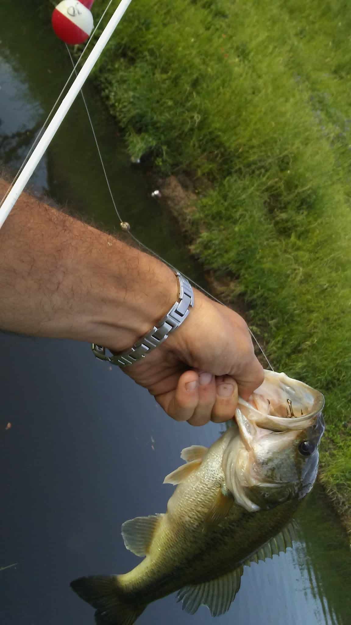 West Tidwell Park - Houston, TX