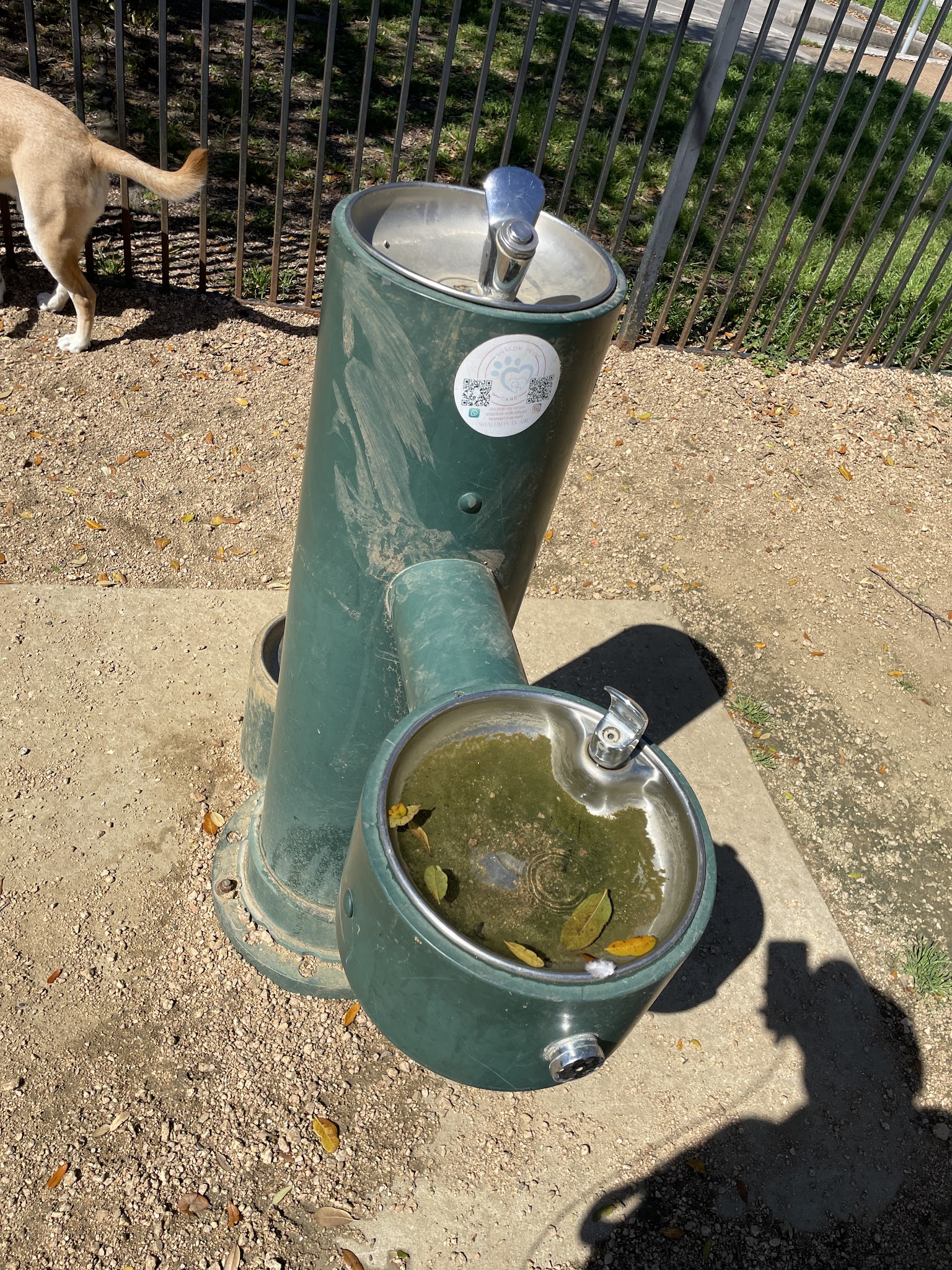 West Webster Dog Park - Houston, TX