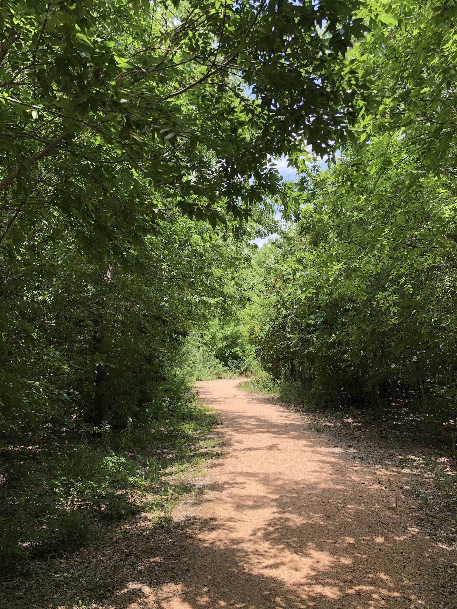 Wiess Park - Houston, TX