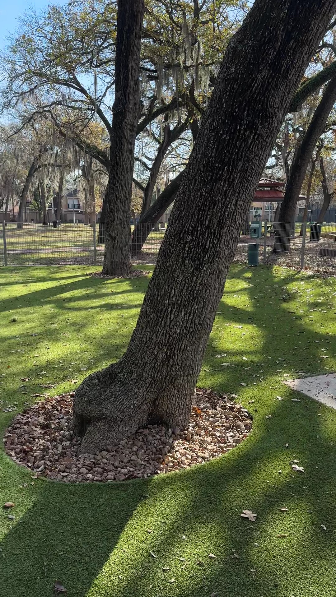 Woodlake Dog Park - Houston, TX